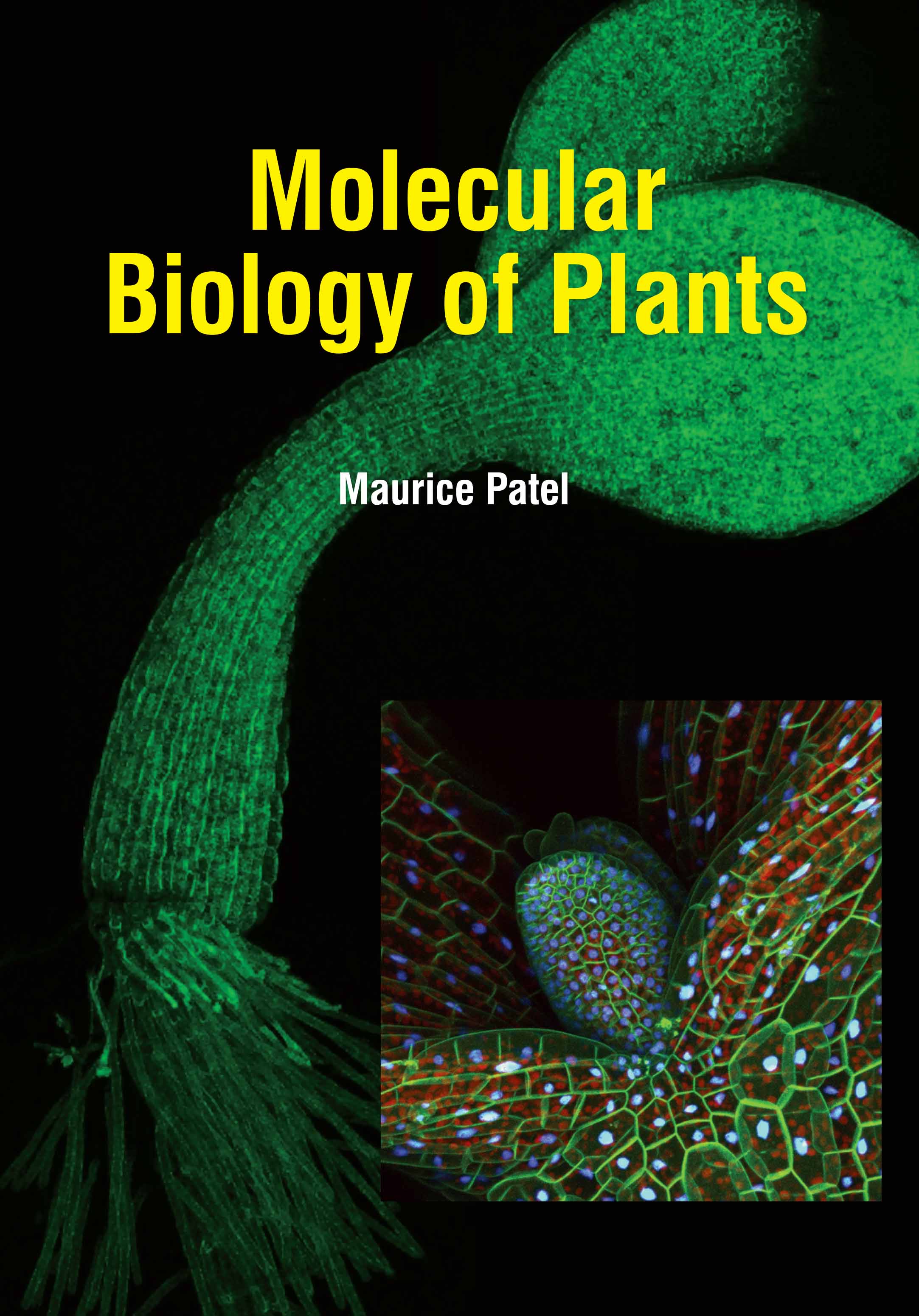 Molecular Biology of Plants