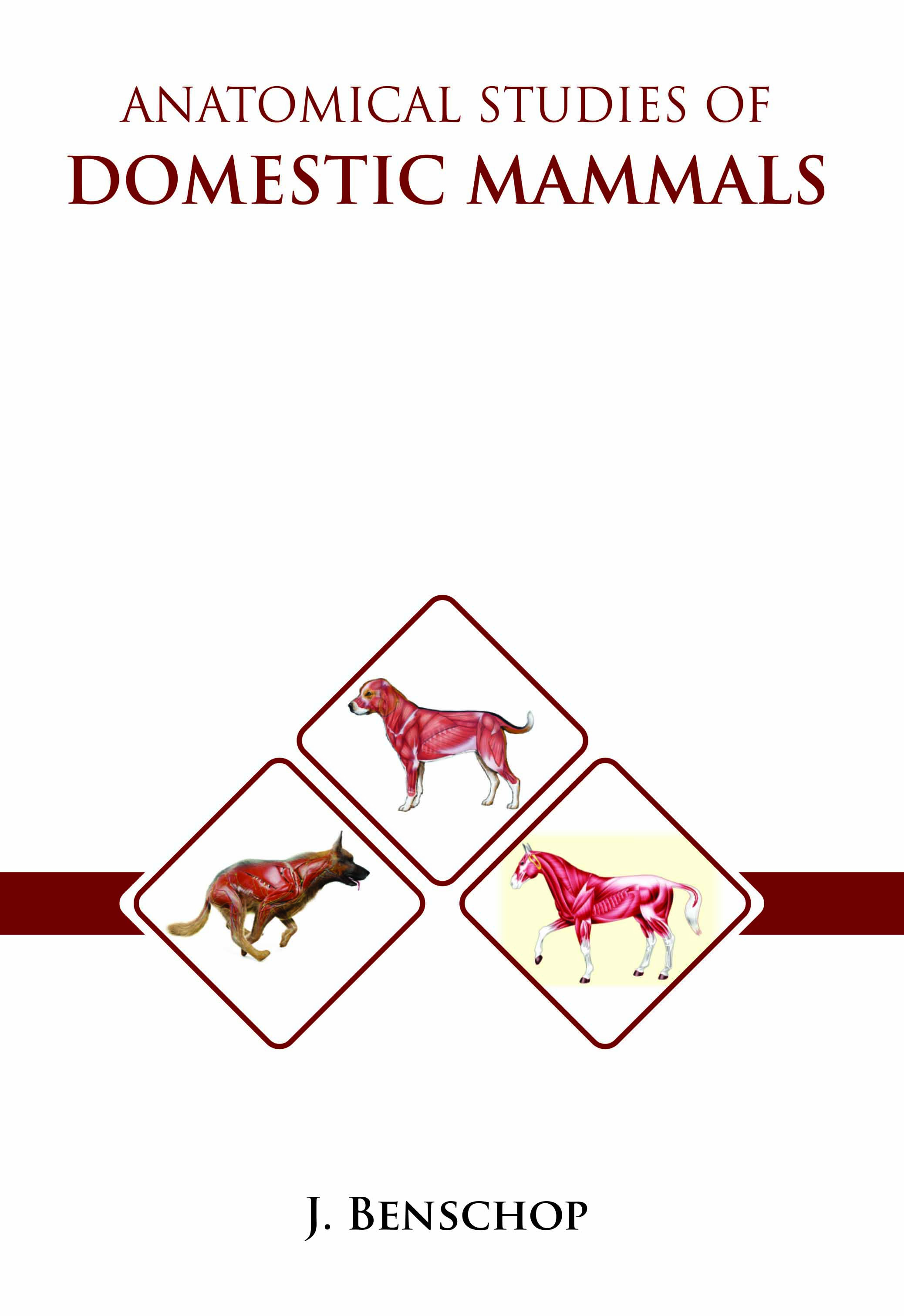 Anatomical Studies of Domestic Mammals