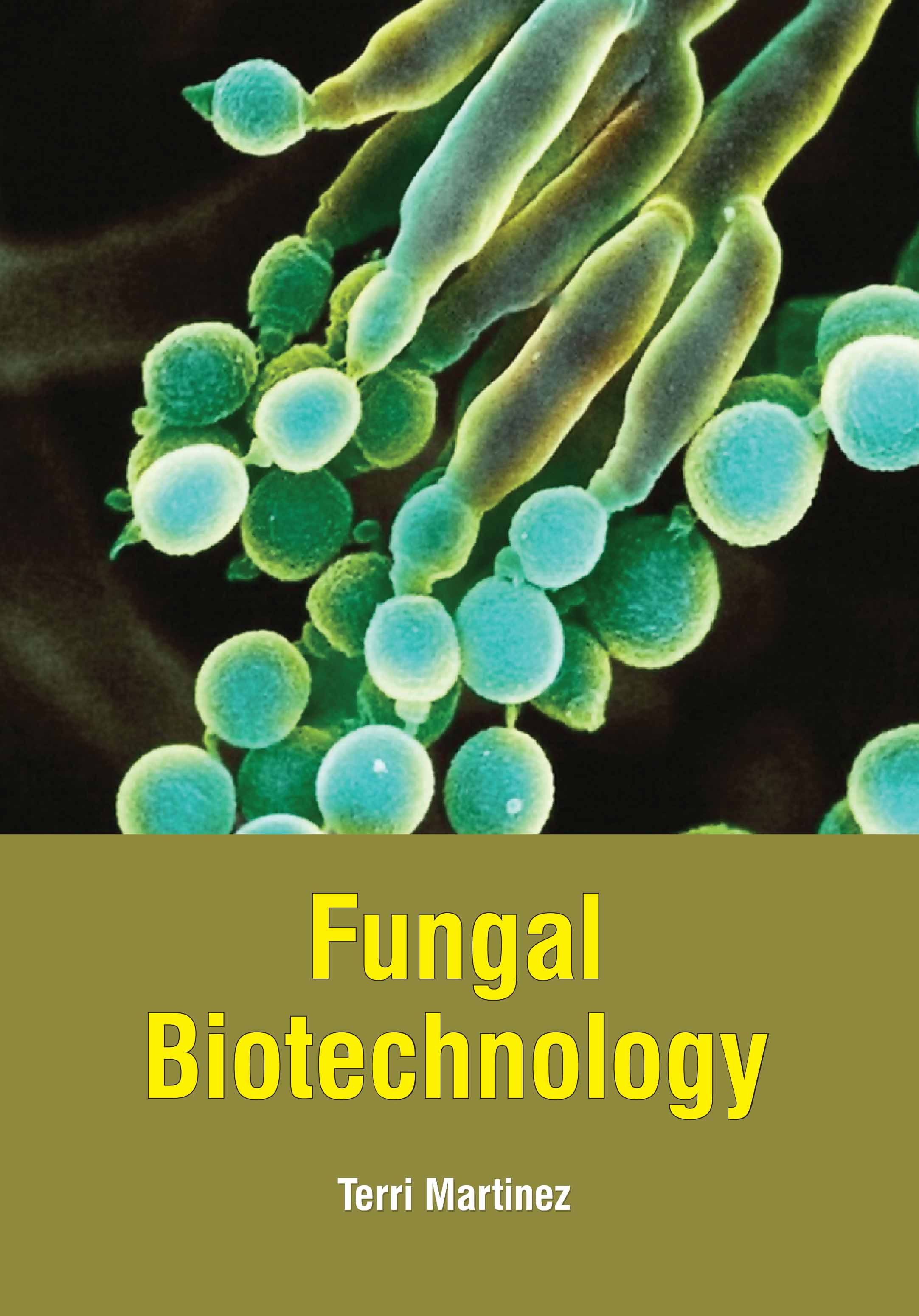 Fungal Biotechnology