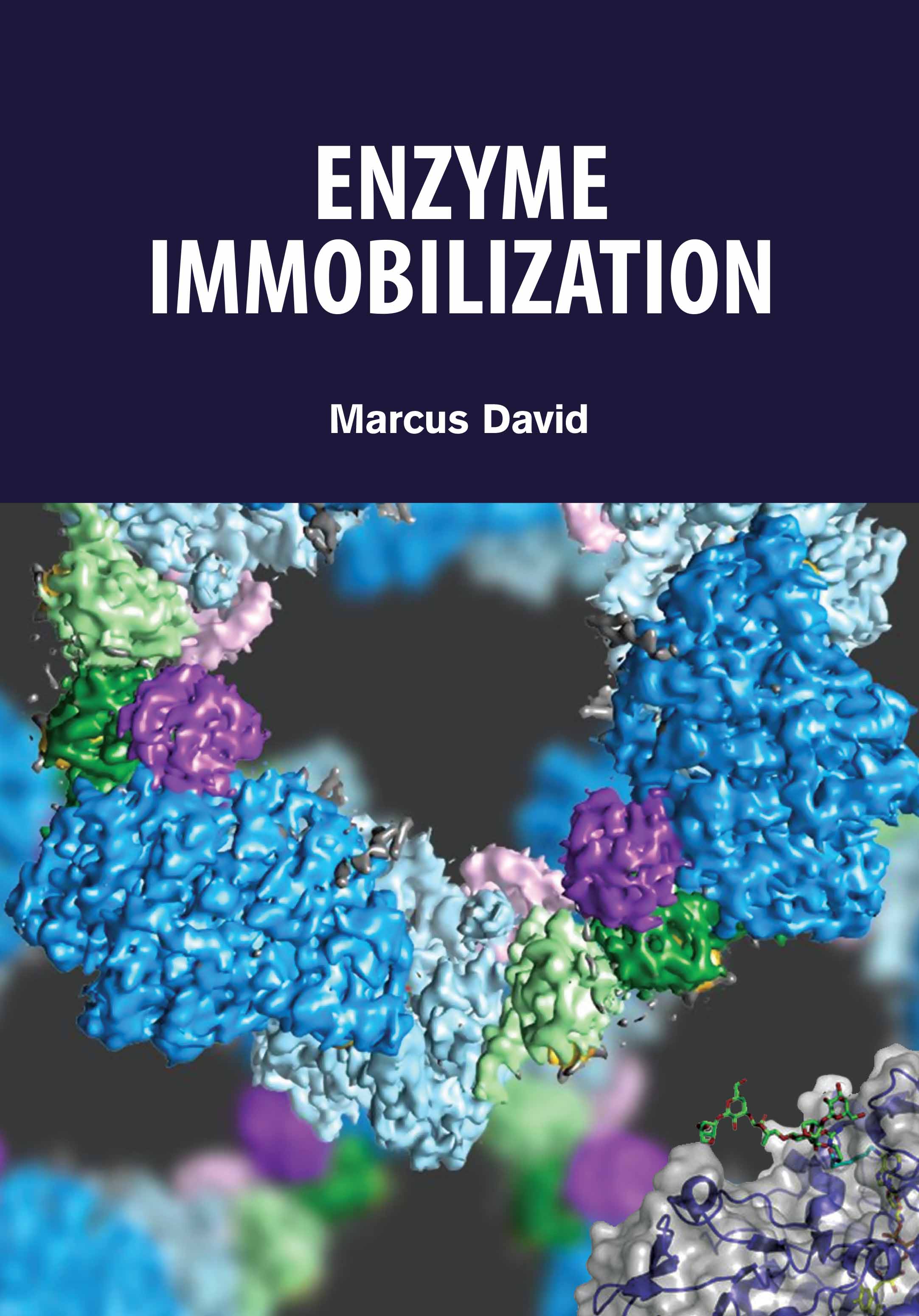 Enzyme Immobilization