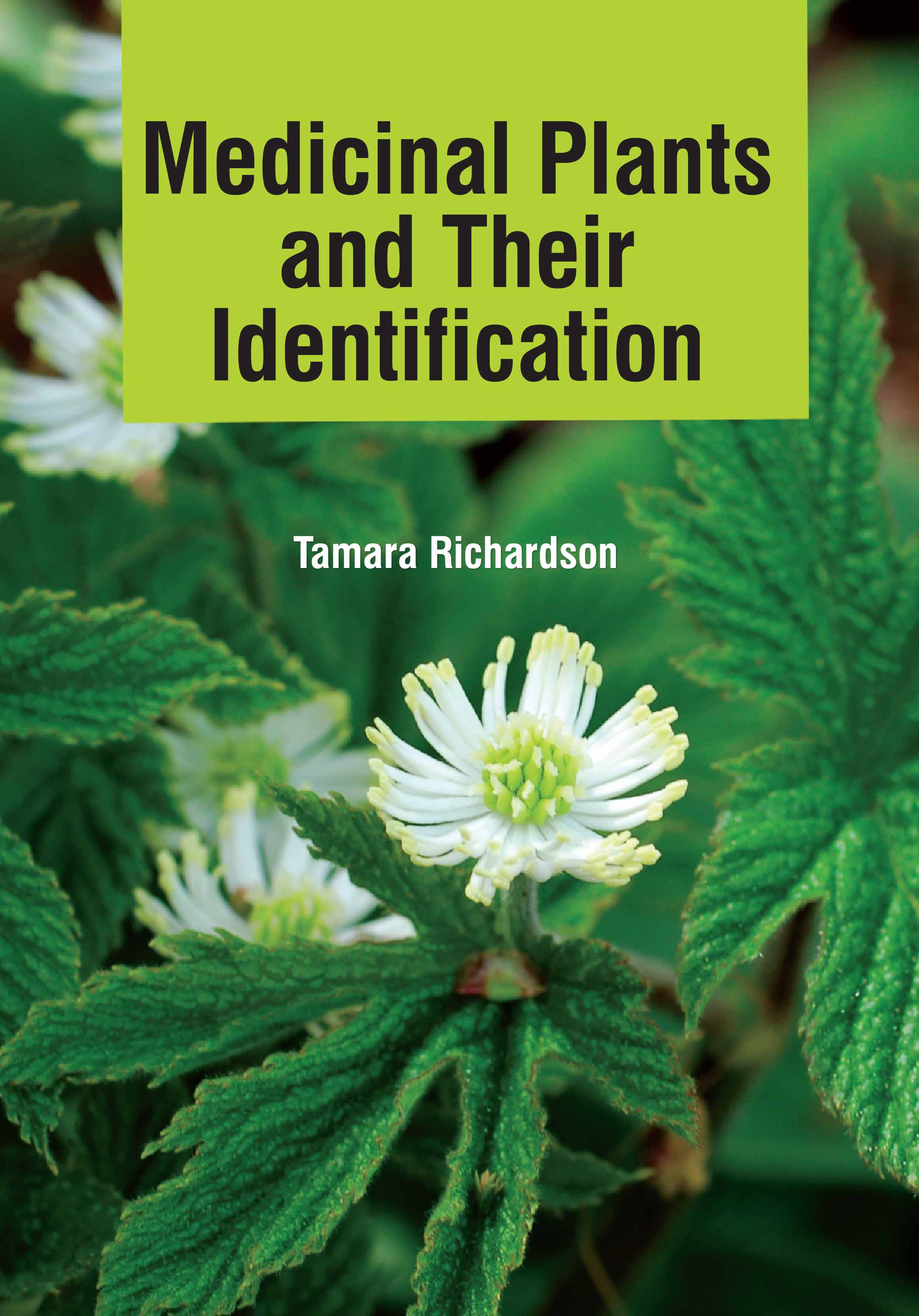 Medicinal Plants and Their Identification