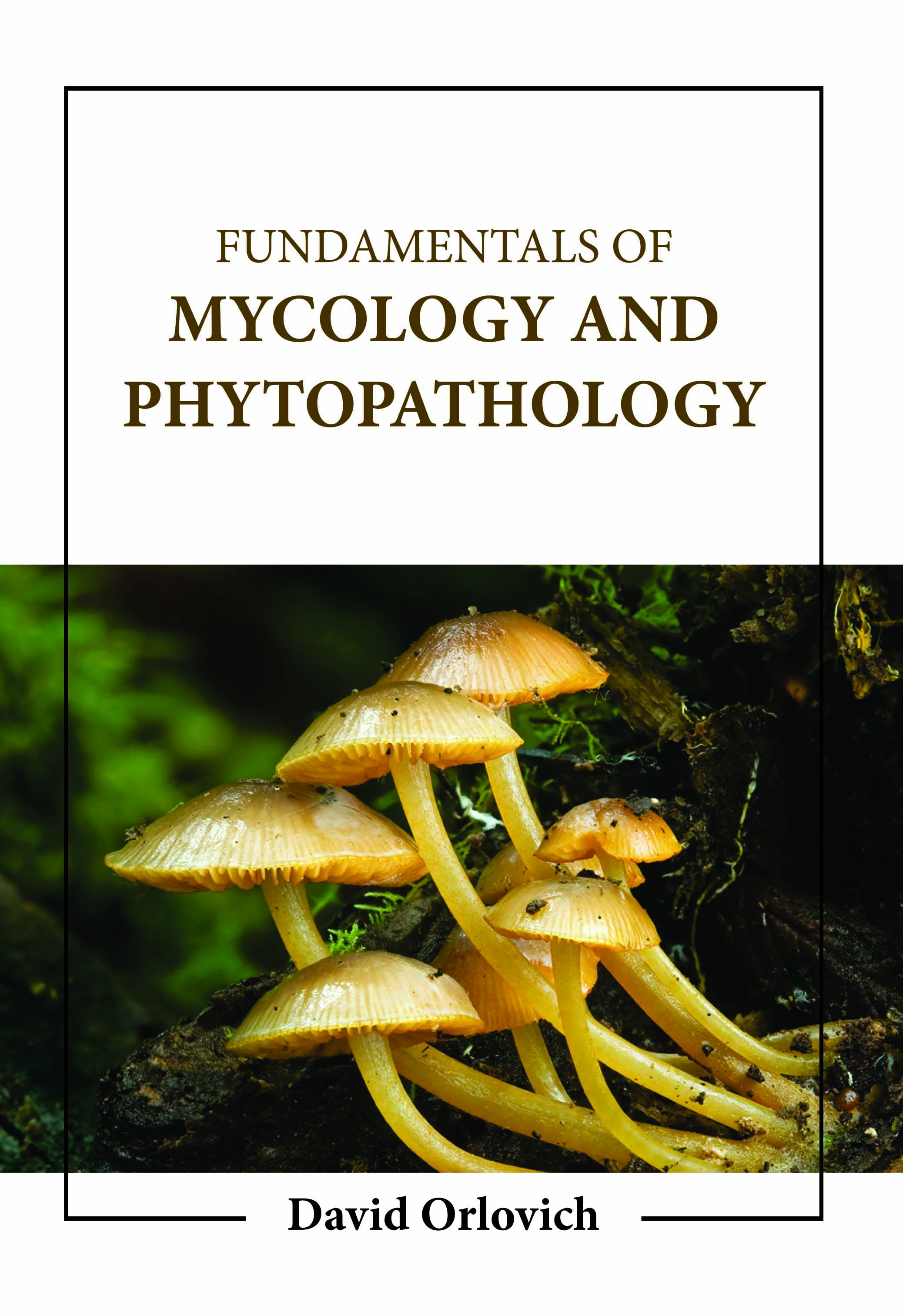Fundamentals of Mycology and Phytopathology 