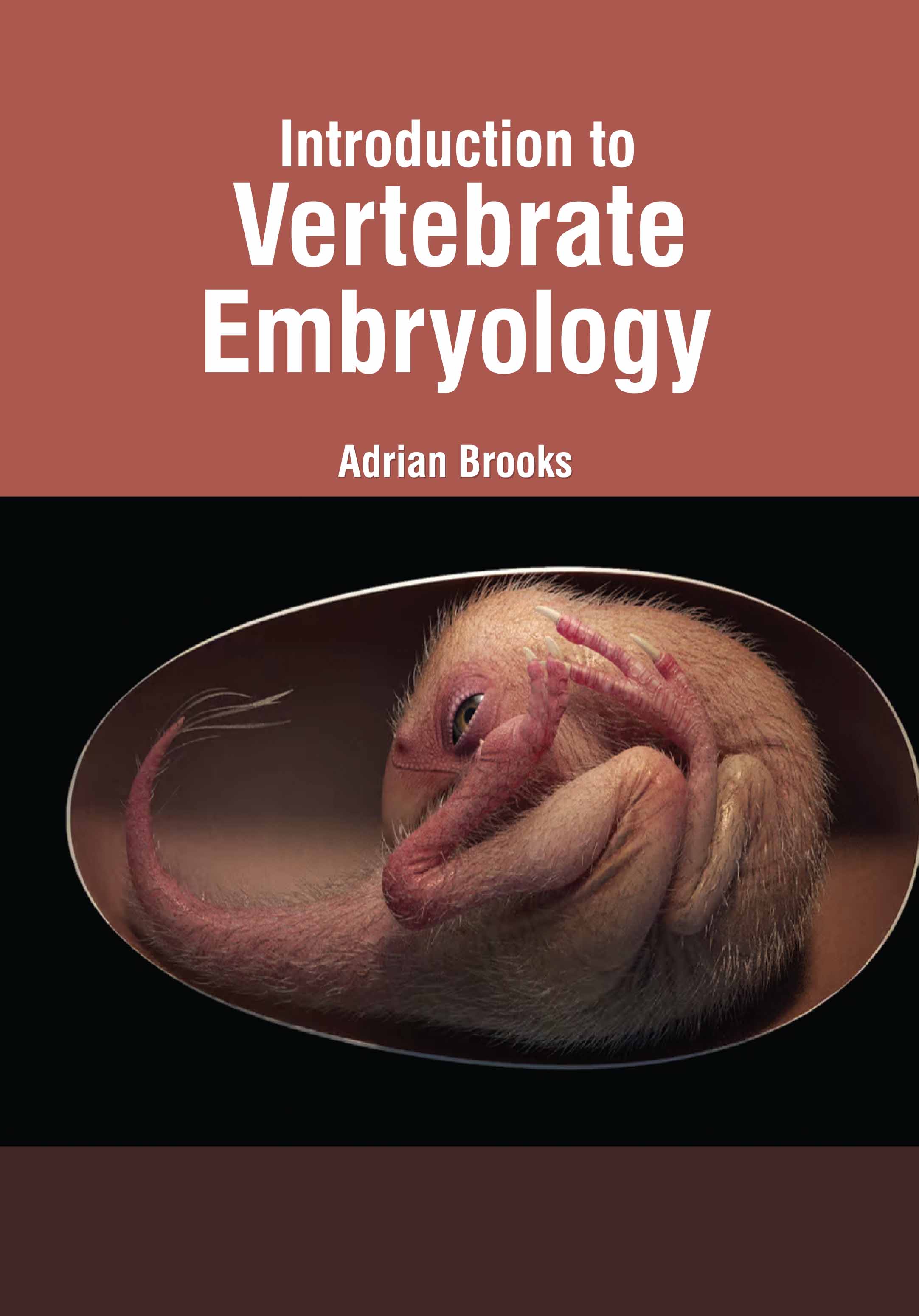 Introduction to Vertebrate Embryology
