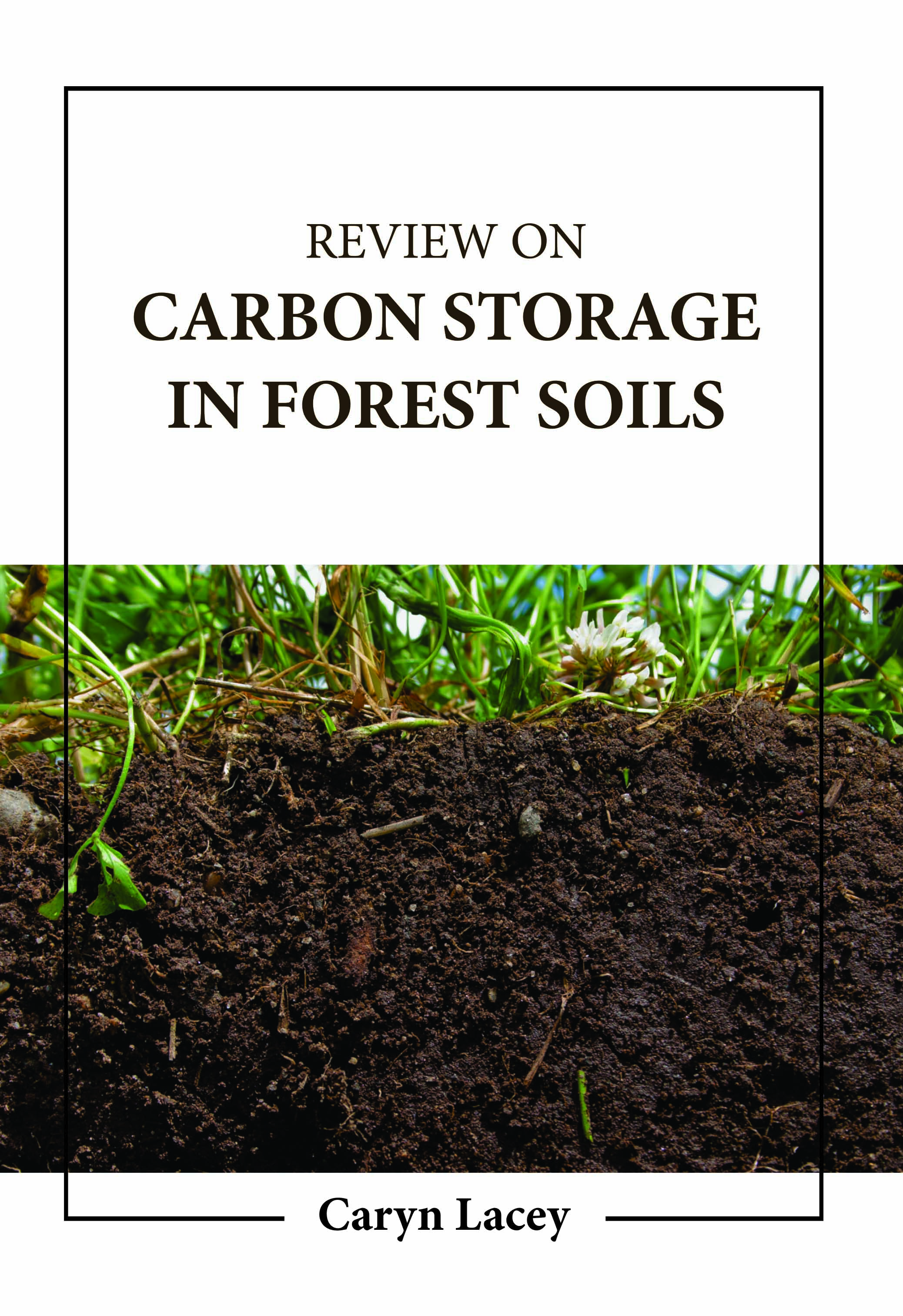 Review on Carbon Storage in Forest Soils