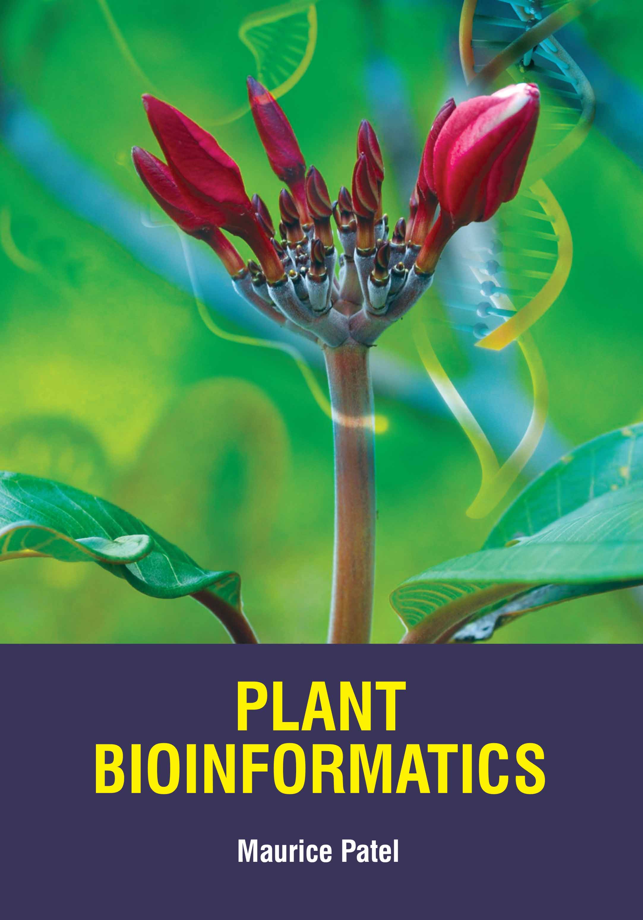 Plant Bioinformatics 