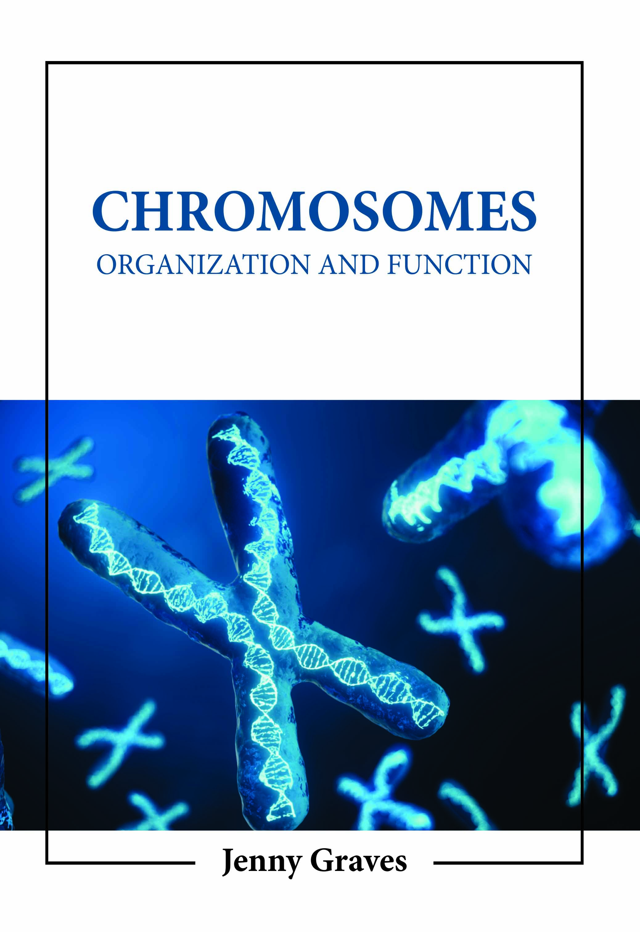 Chromosomes: Organization and Function