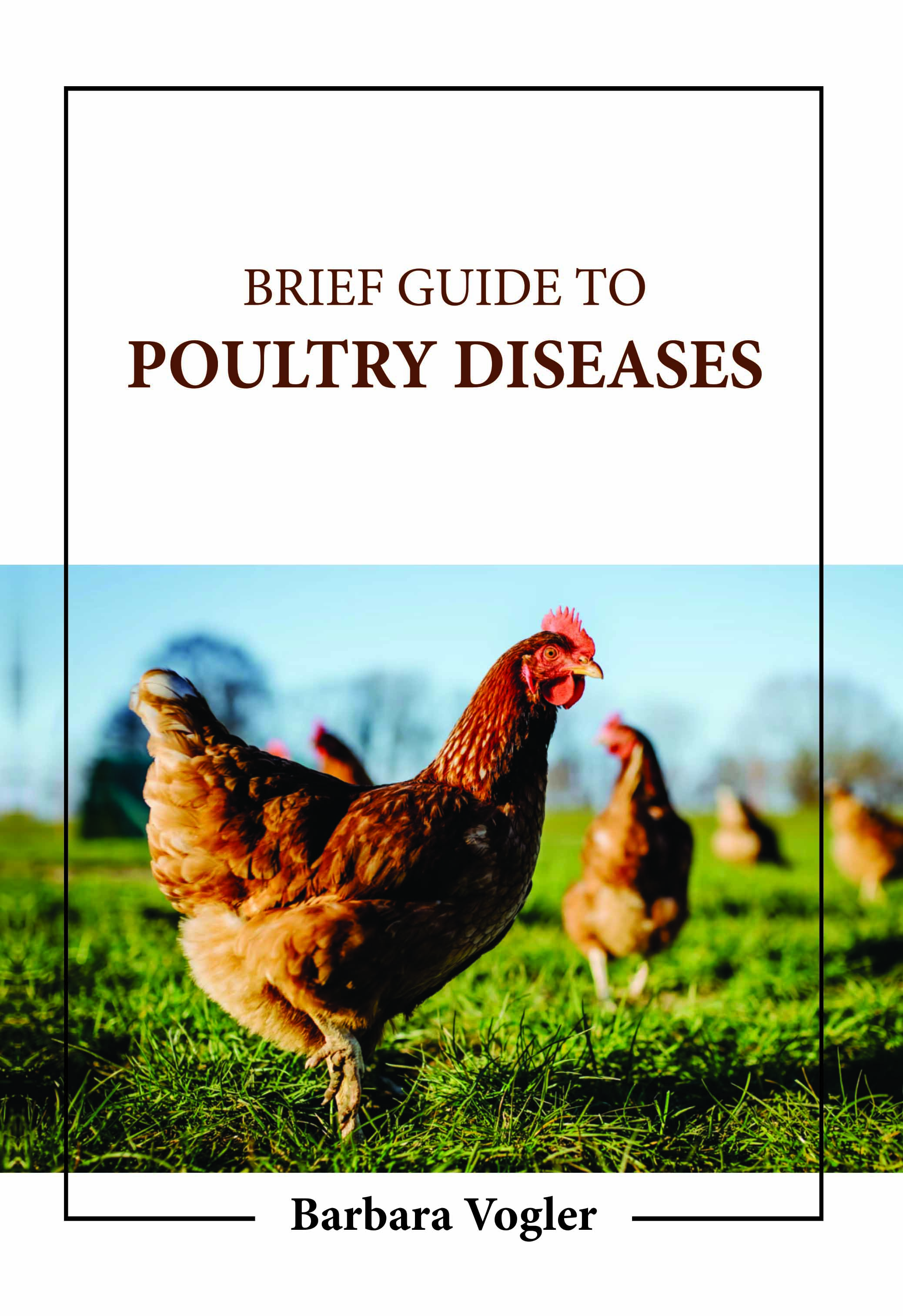Brief Guide to Poultry Diseases