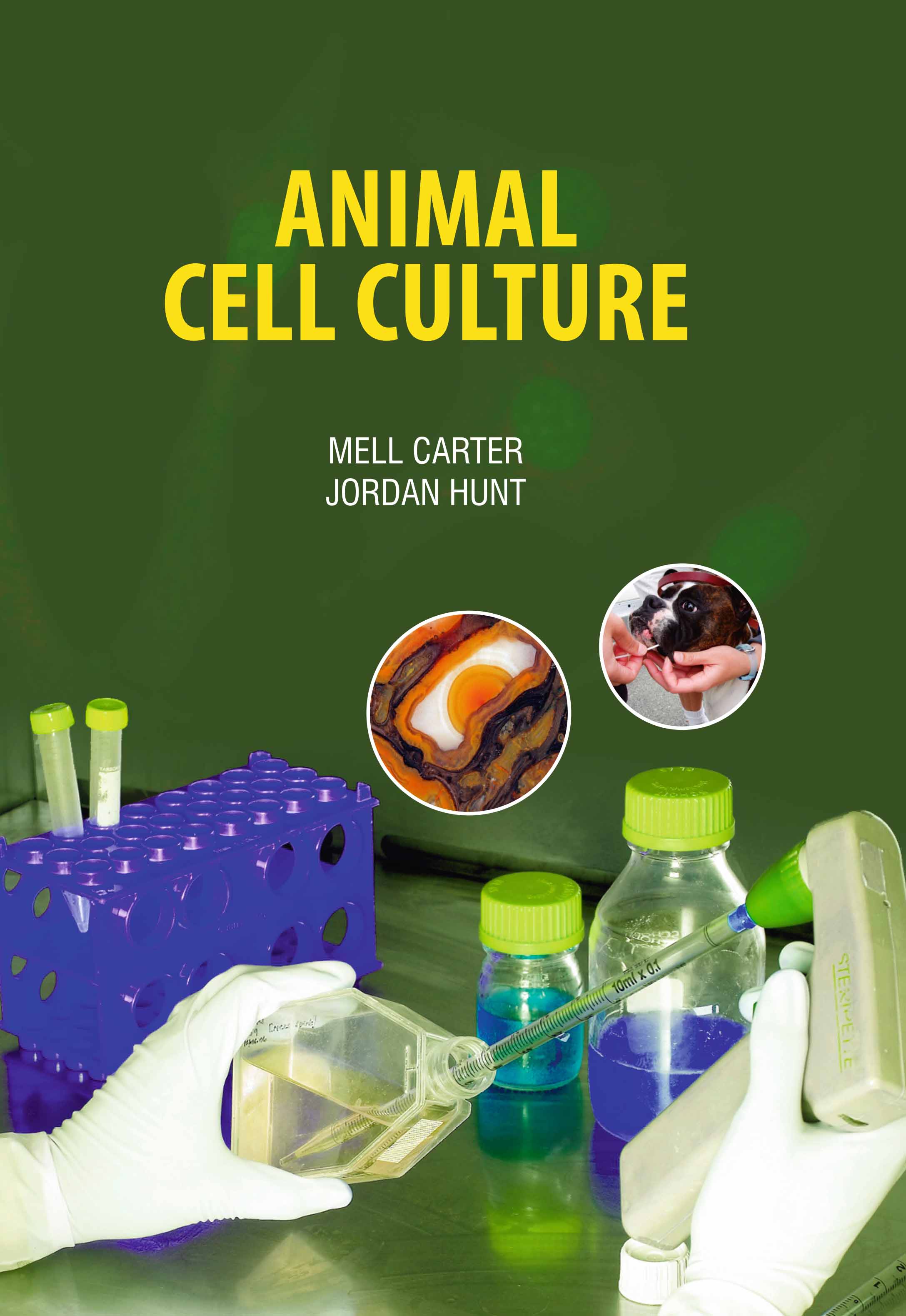 Animal Cell Culture