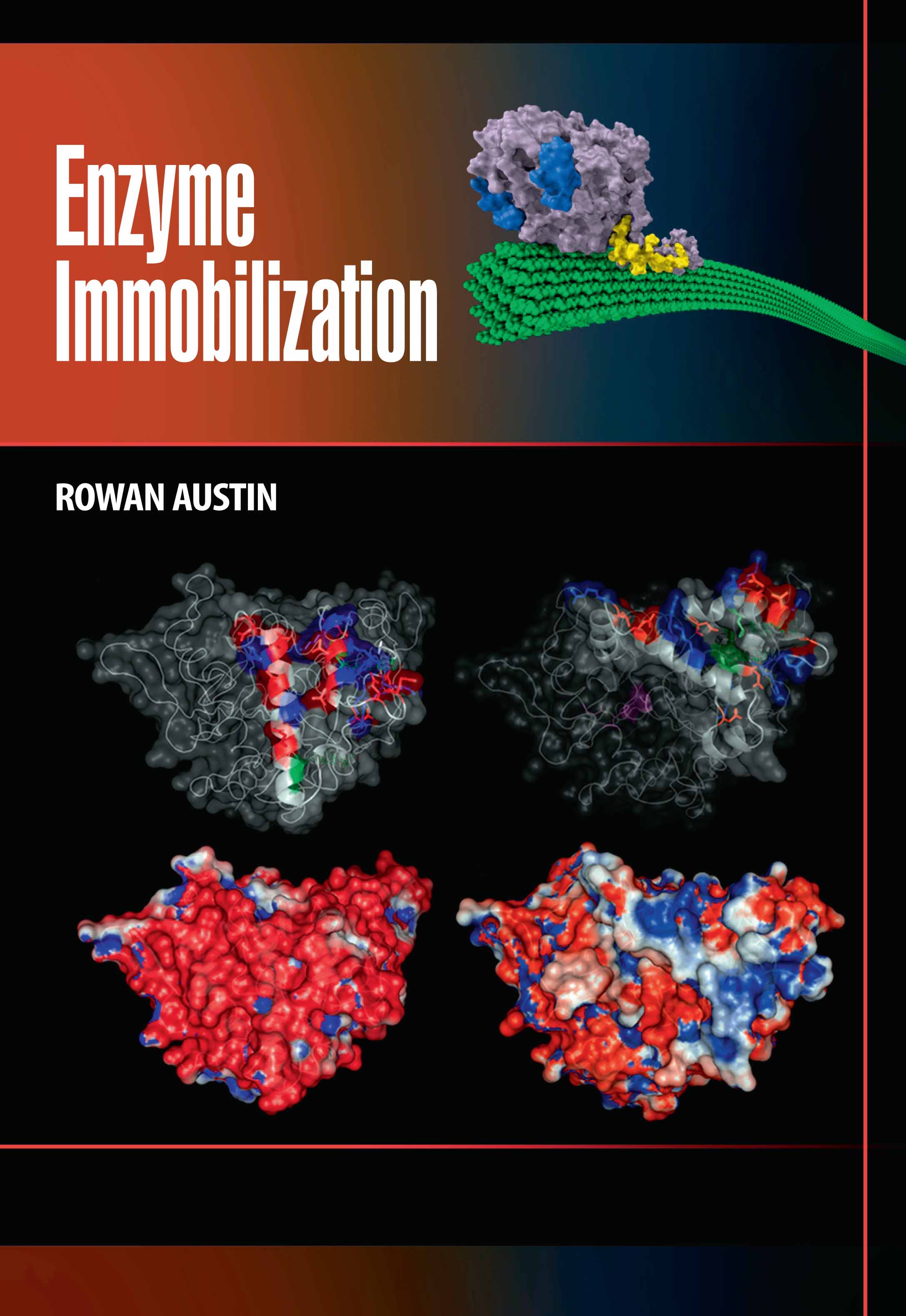 Enzyme Immobilization