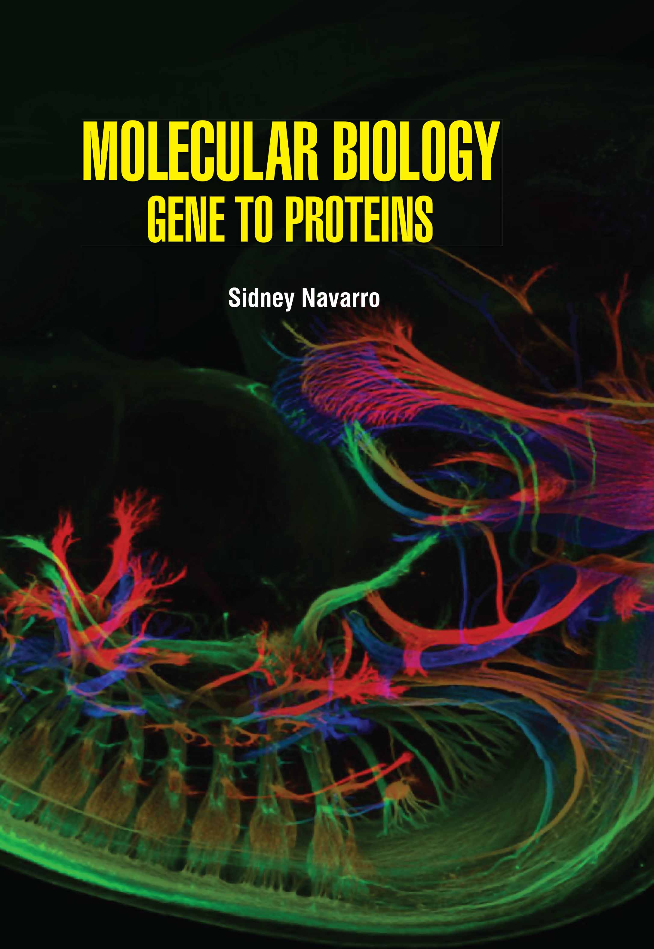 Molecular Biology : Gene to Proteins