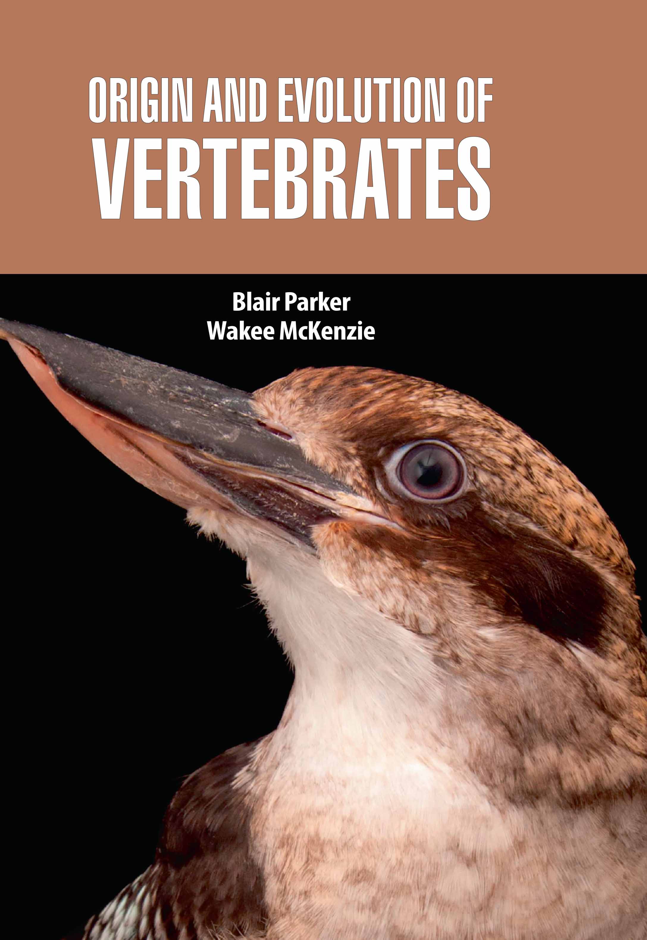 Origin and Evolution of Vertebrates
