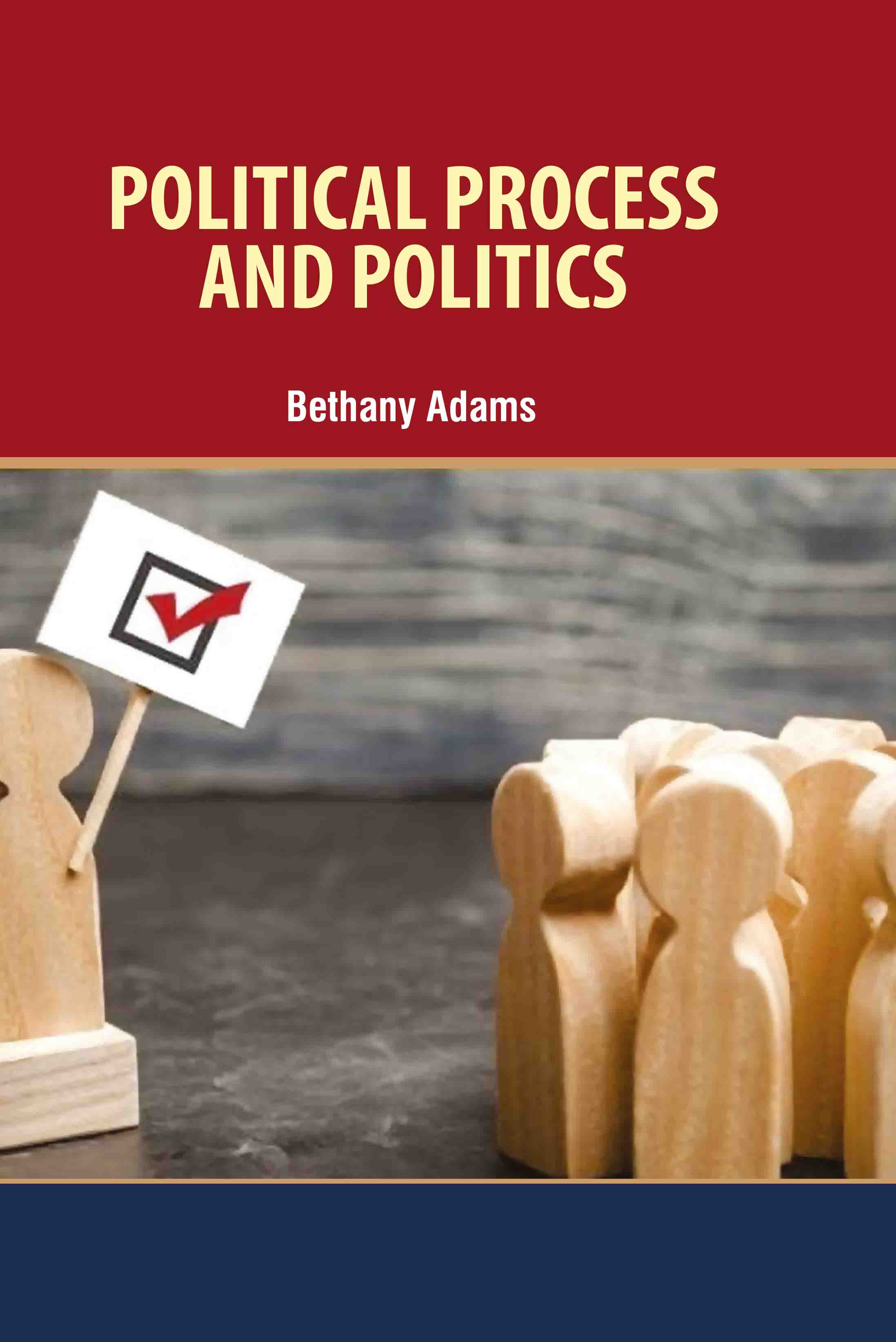 Political Process and Politics