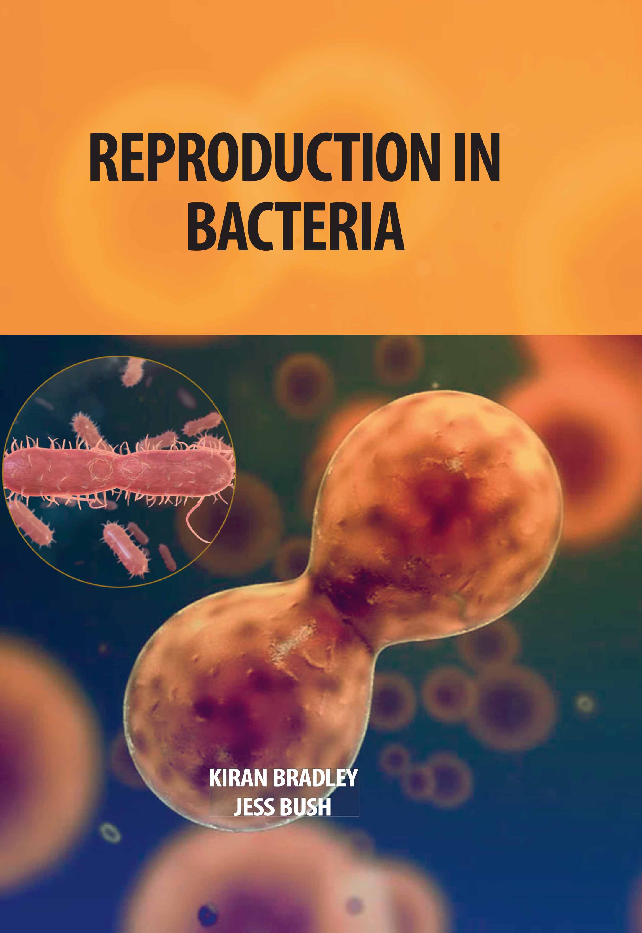 Reproduction in Bacteria