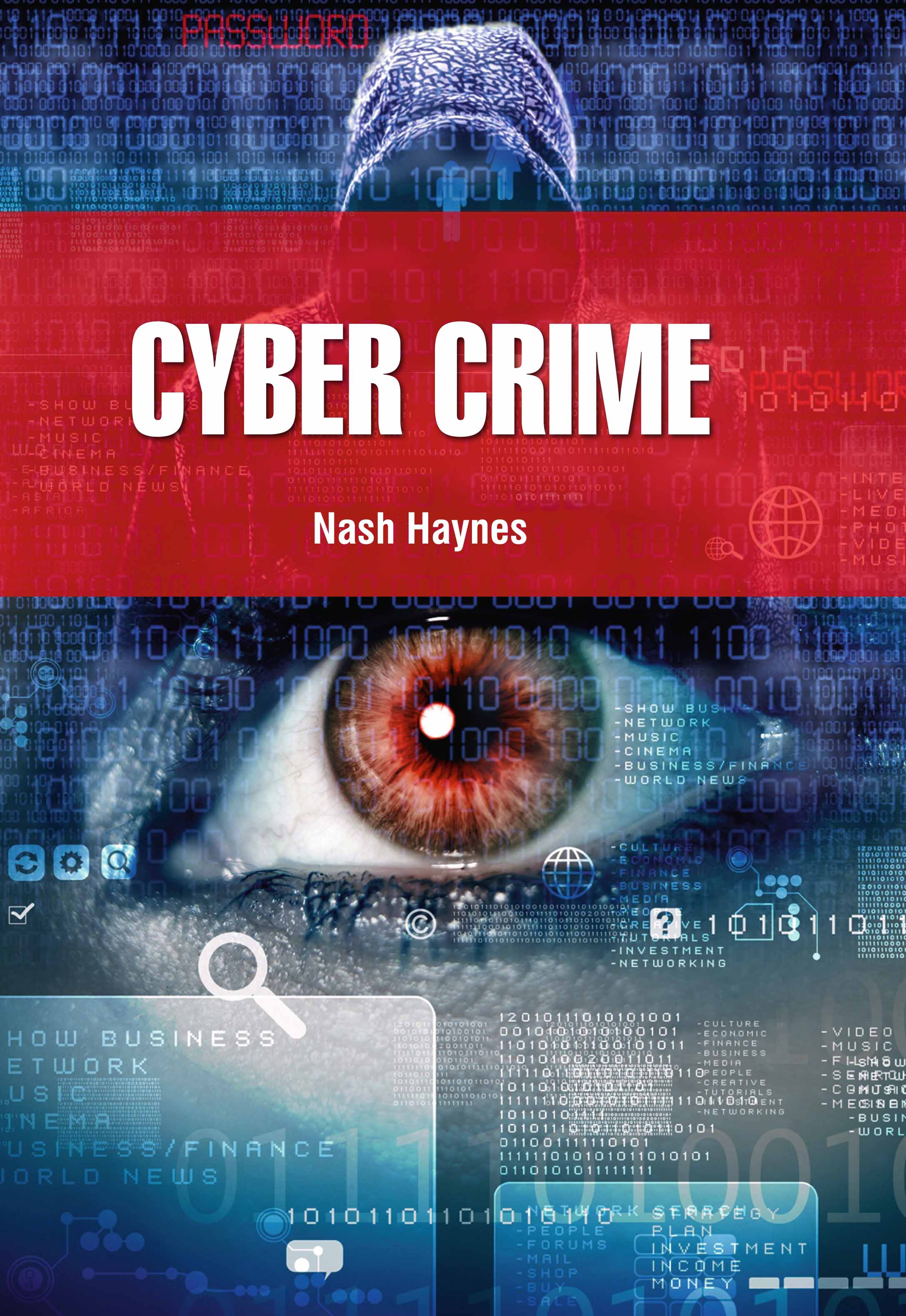 Cyber Crime