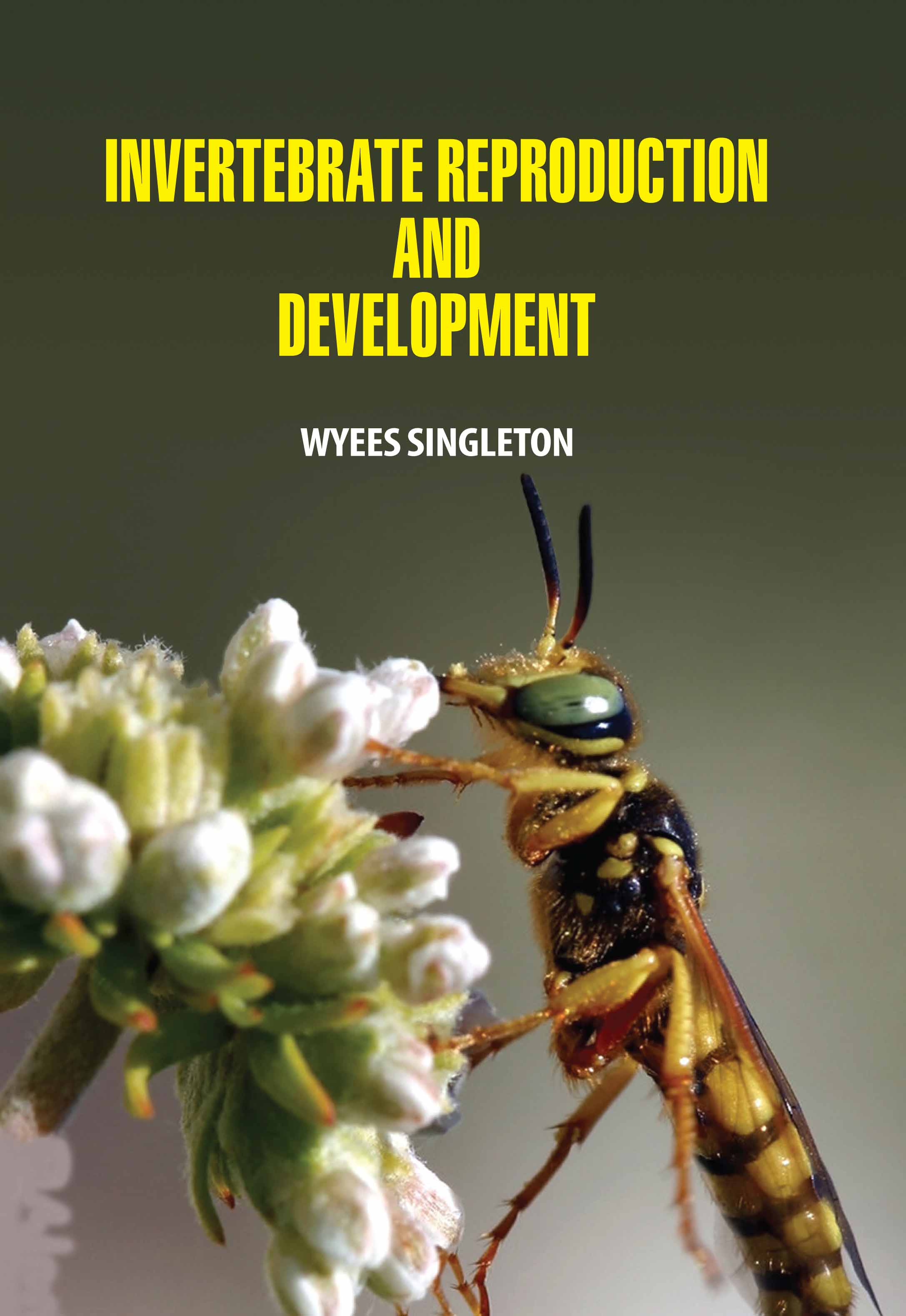 Invertebrate Reproduction and Development