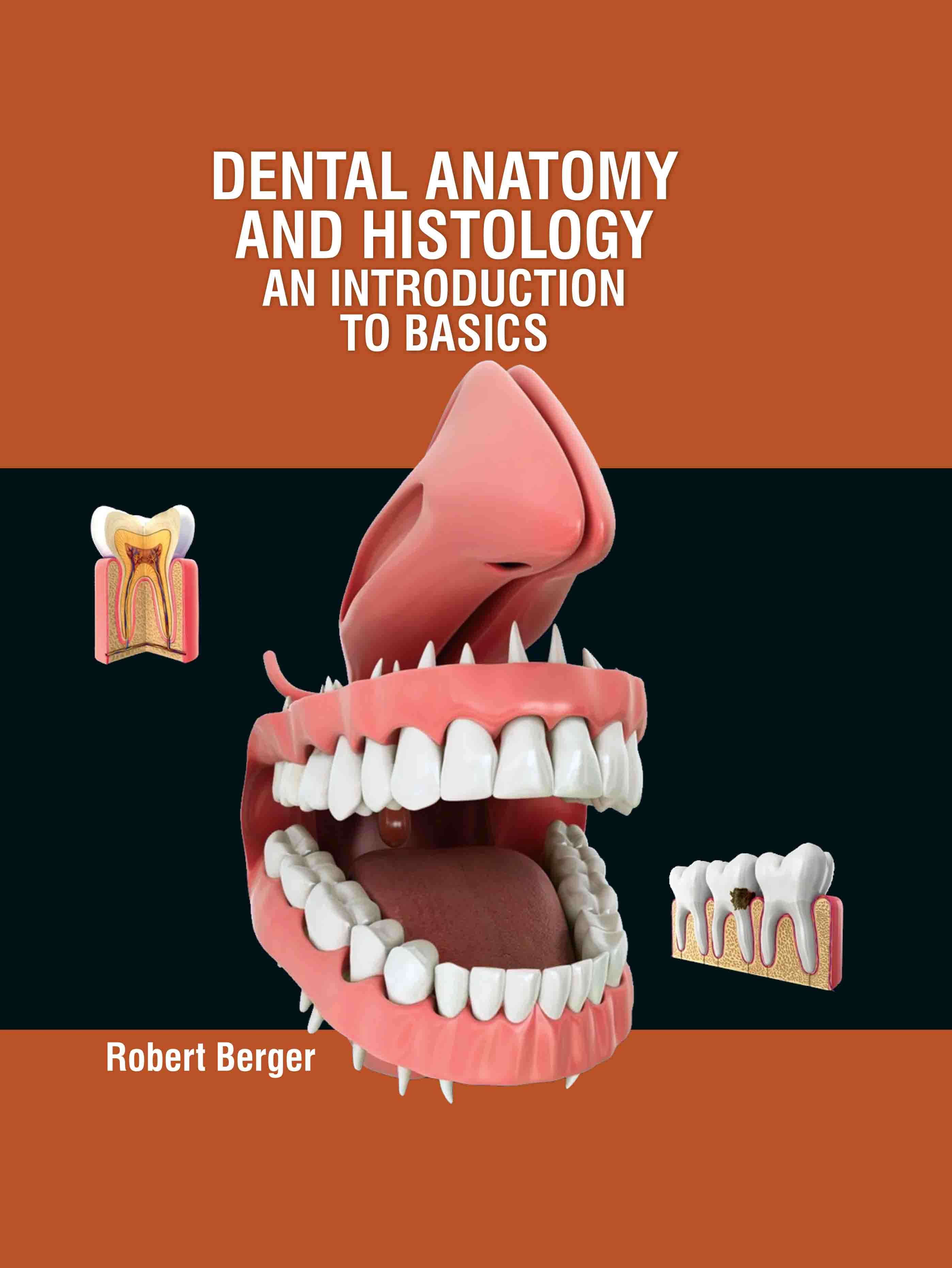 Dental Anatomy and Histology: An Introduction to Basics