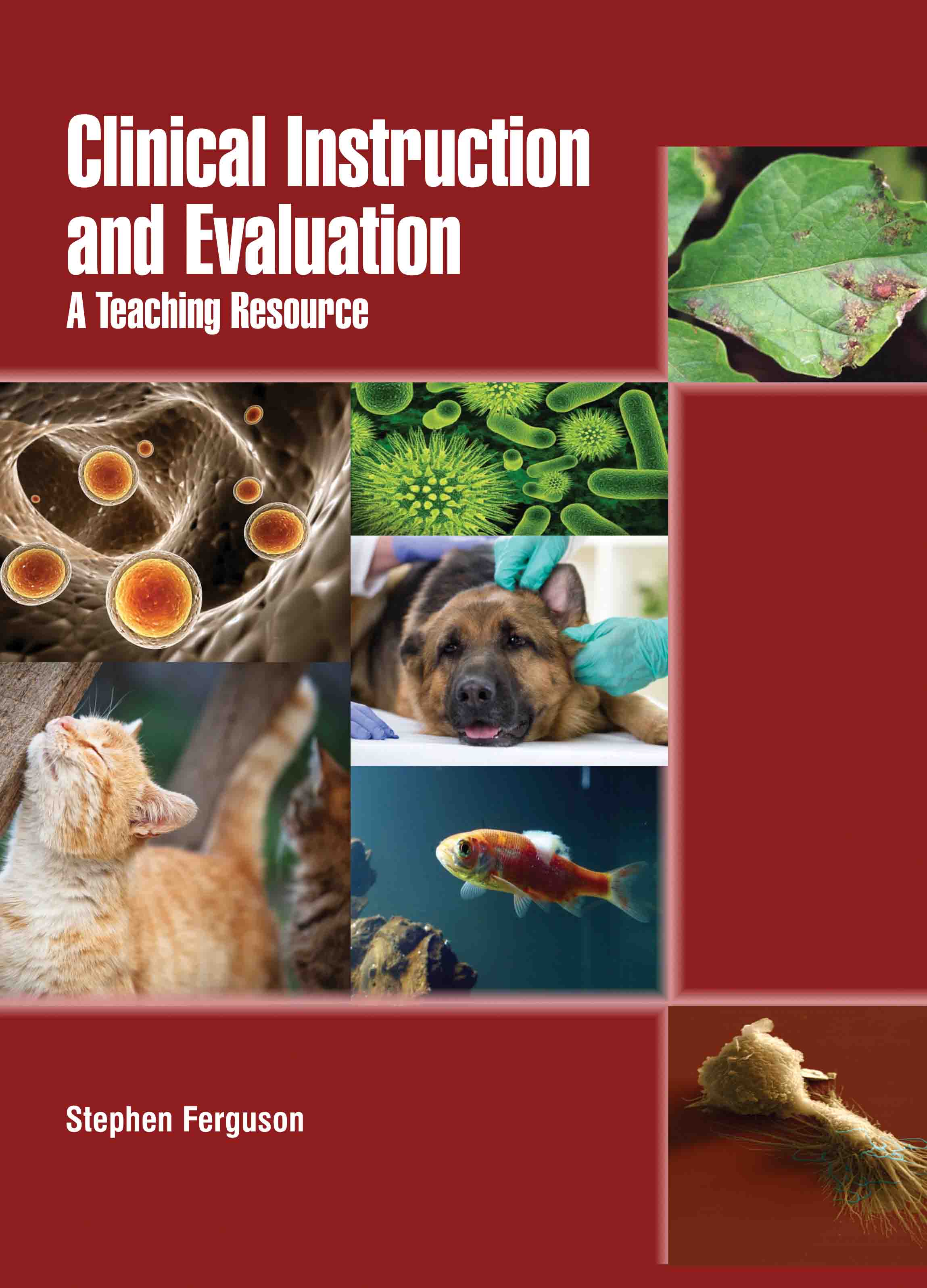 Clinical Instruction and Evaluation: A Teaching Resource