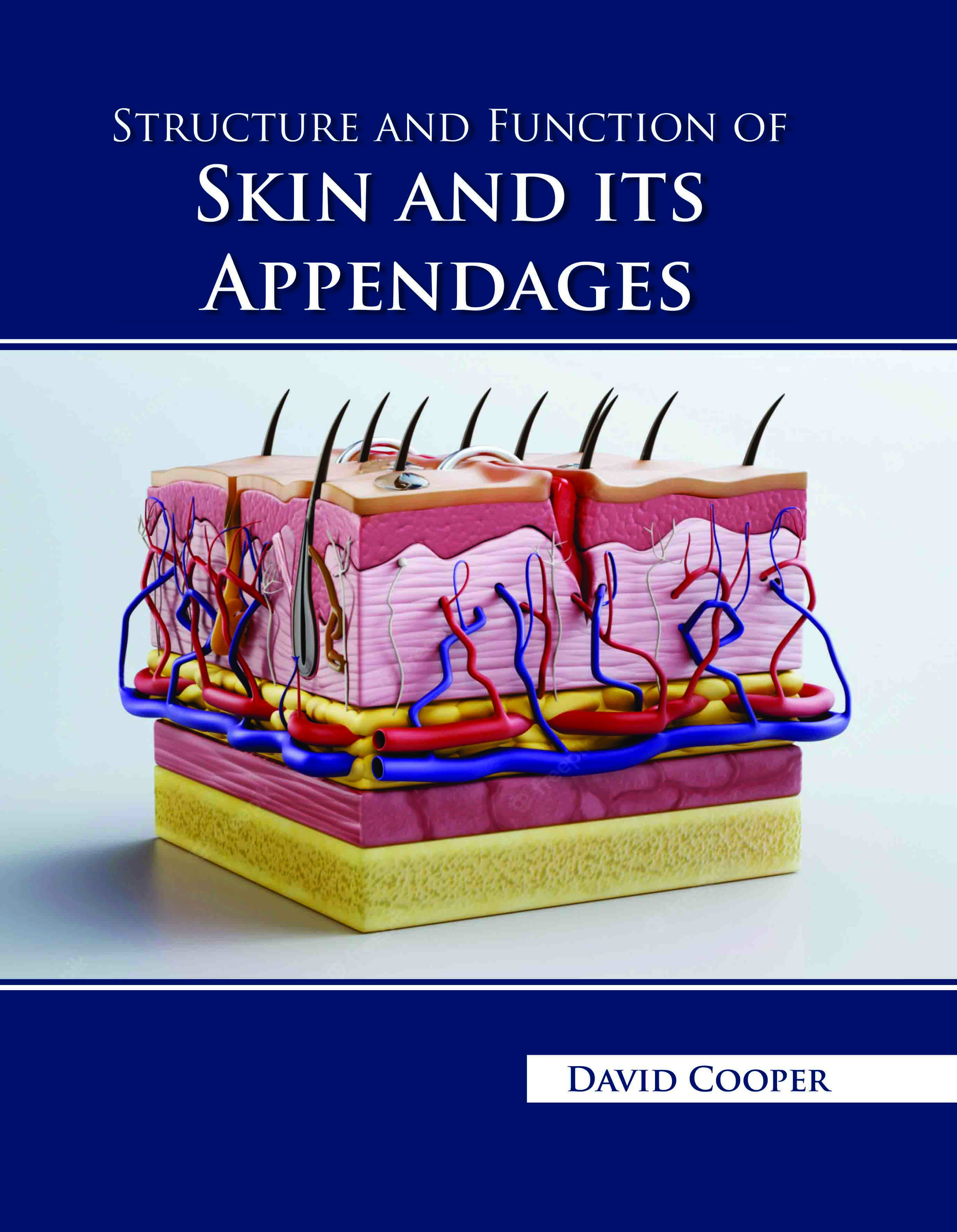 Structure and Function of Skin and Its Appendages