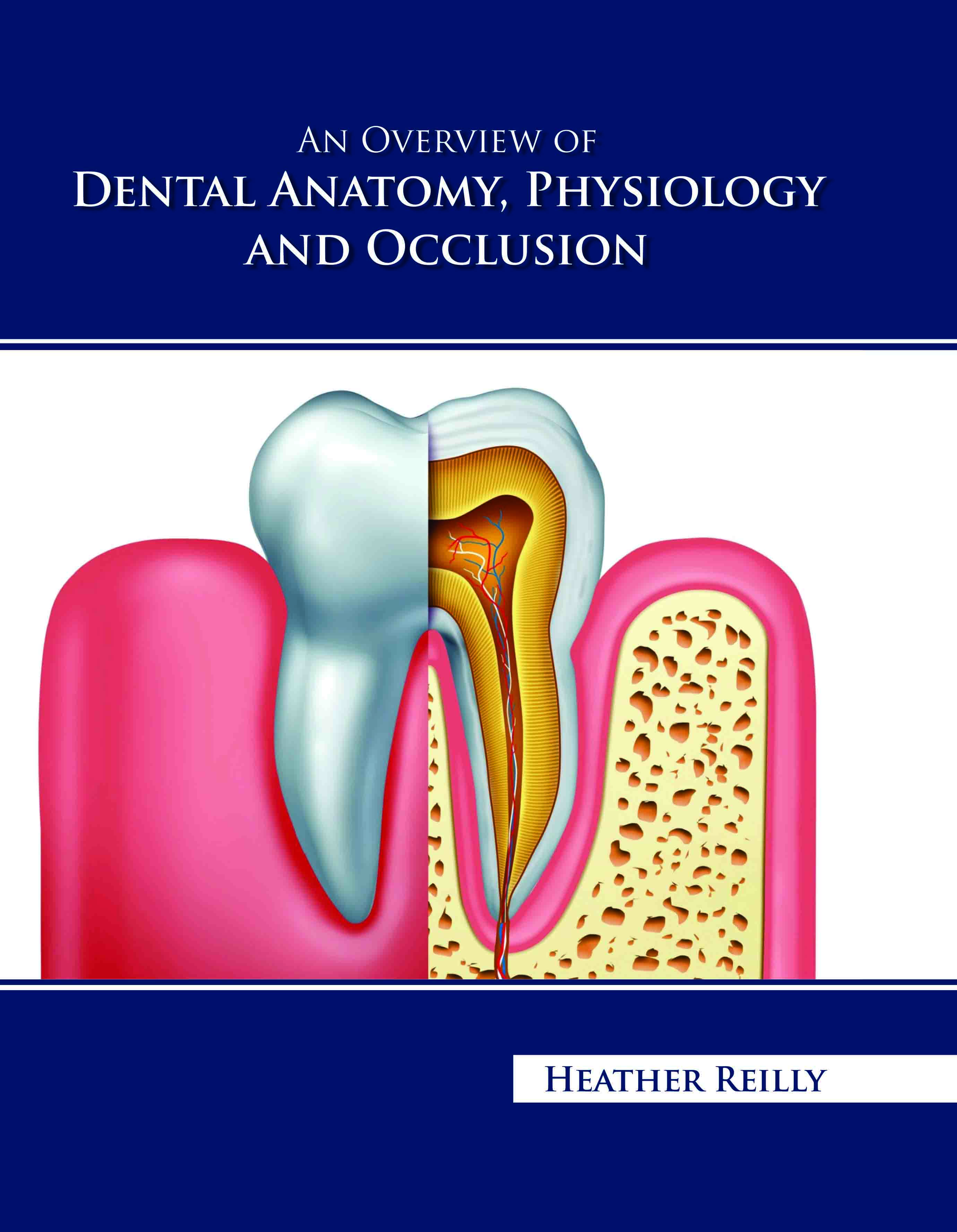 An Overview of Dental Anatomy, Physiology and Occlusion