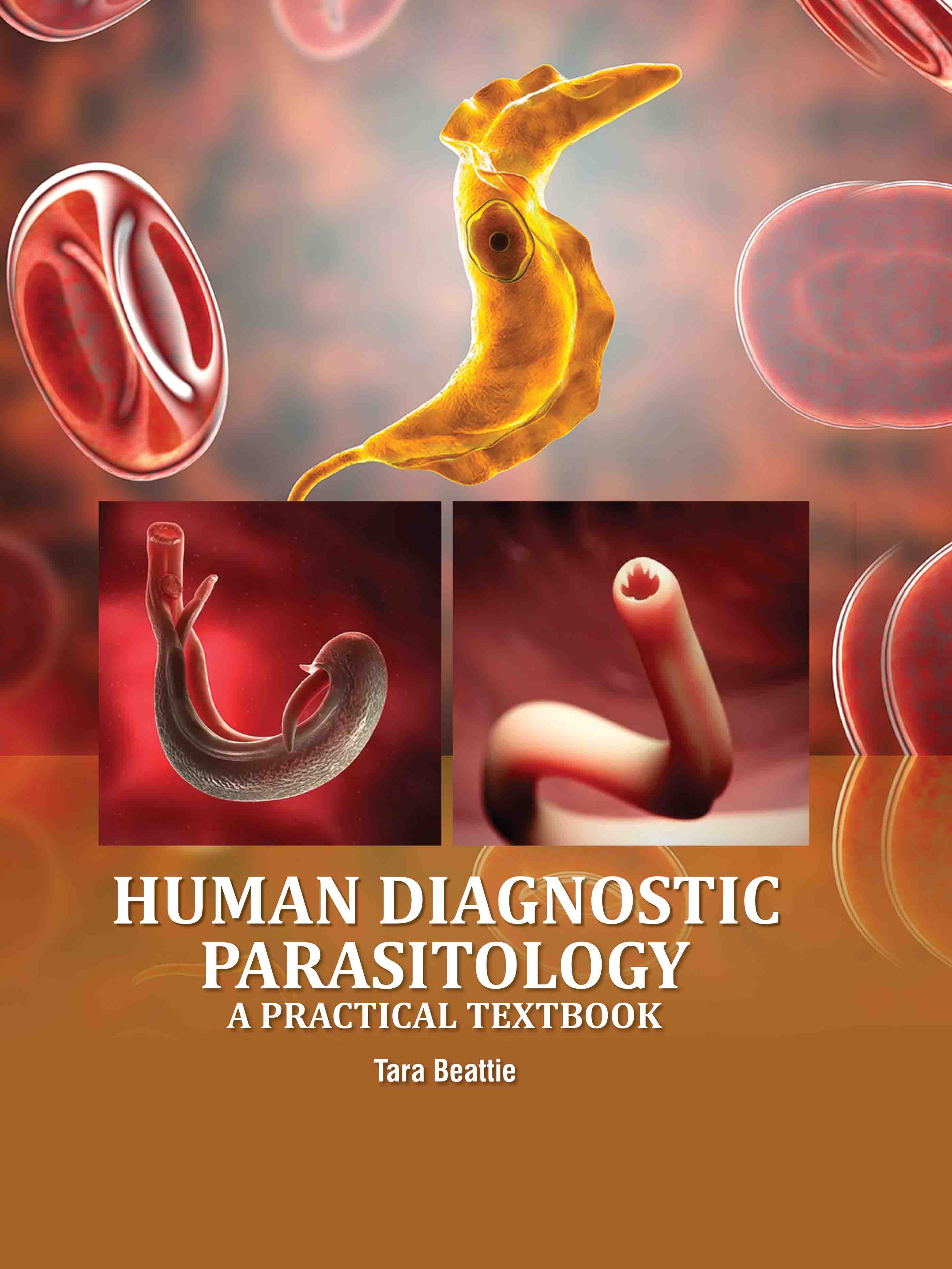 Human Diagnostic Parasitology: A Practical Textbook