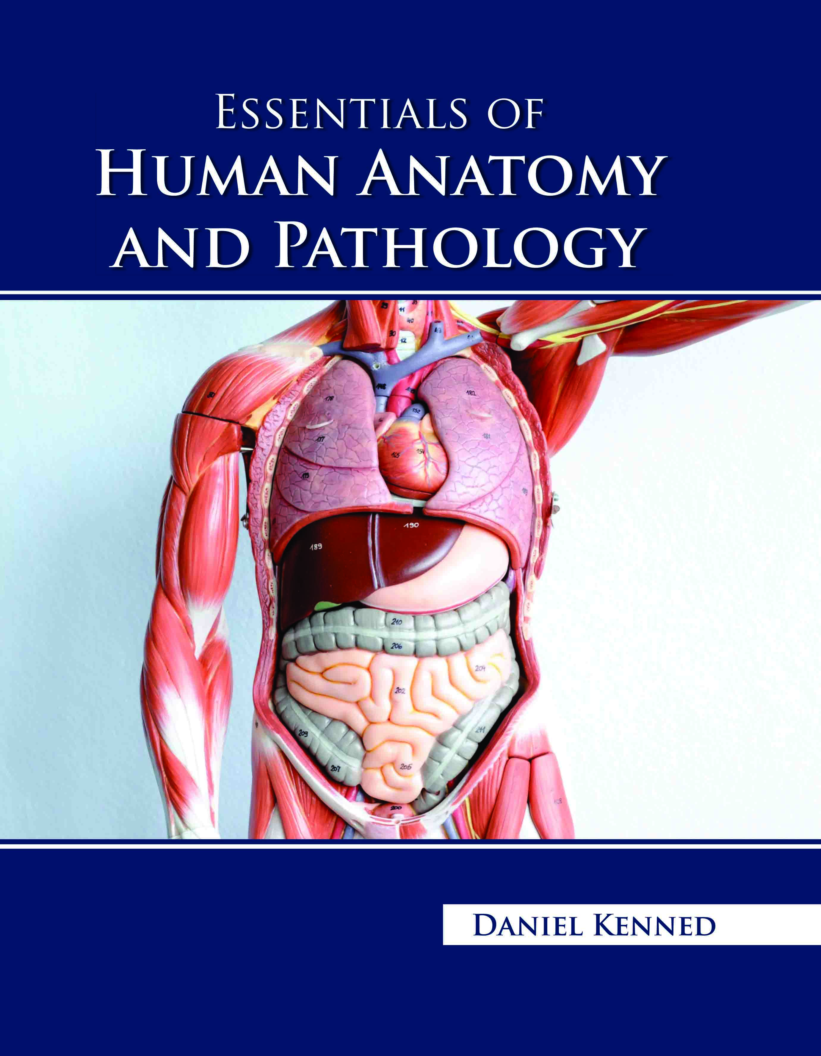 Essentials of Human Anatomy and Pathology