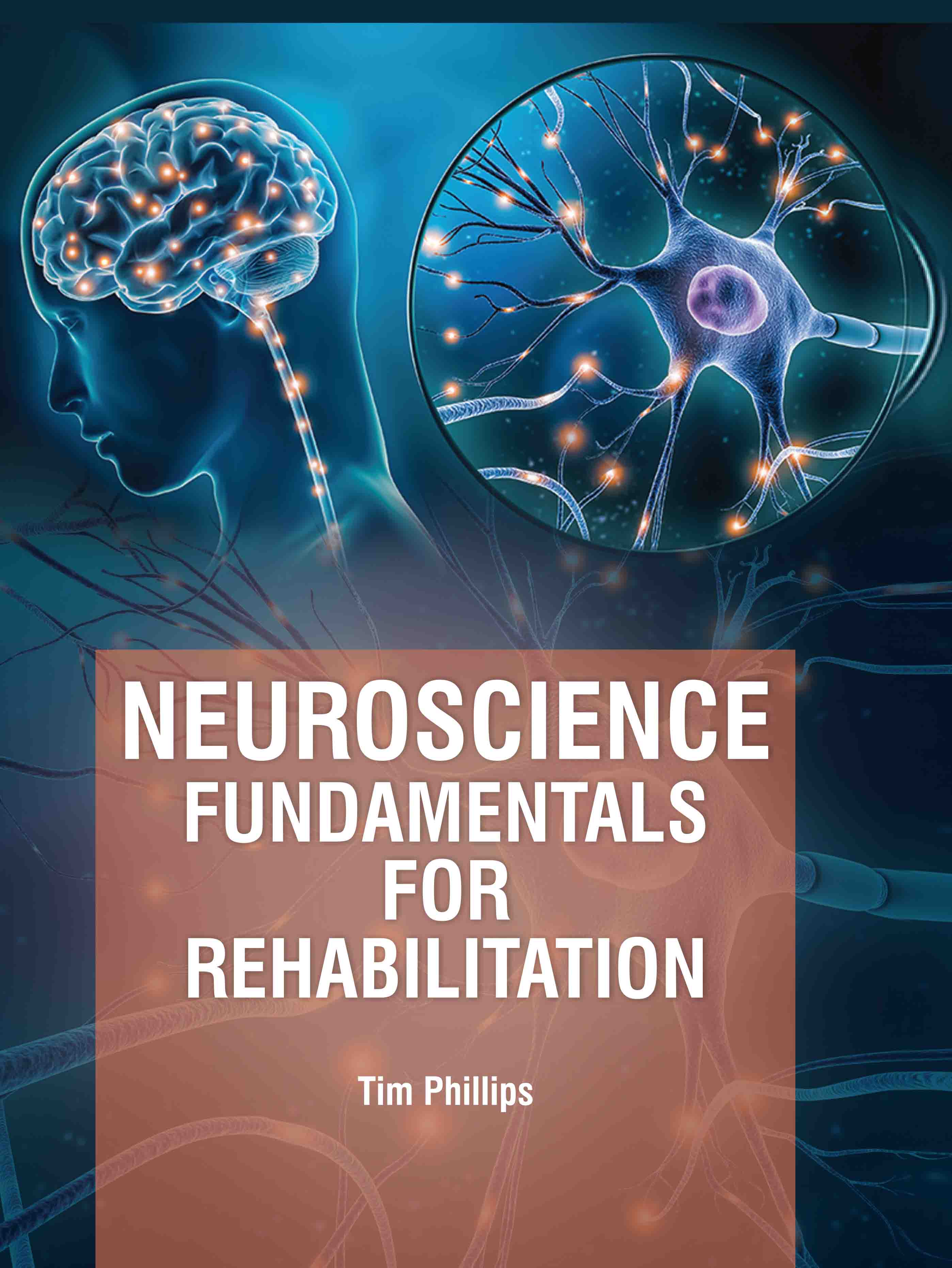 Neuroscience: Fundamentals for Rehabilitation