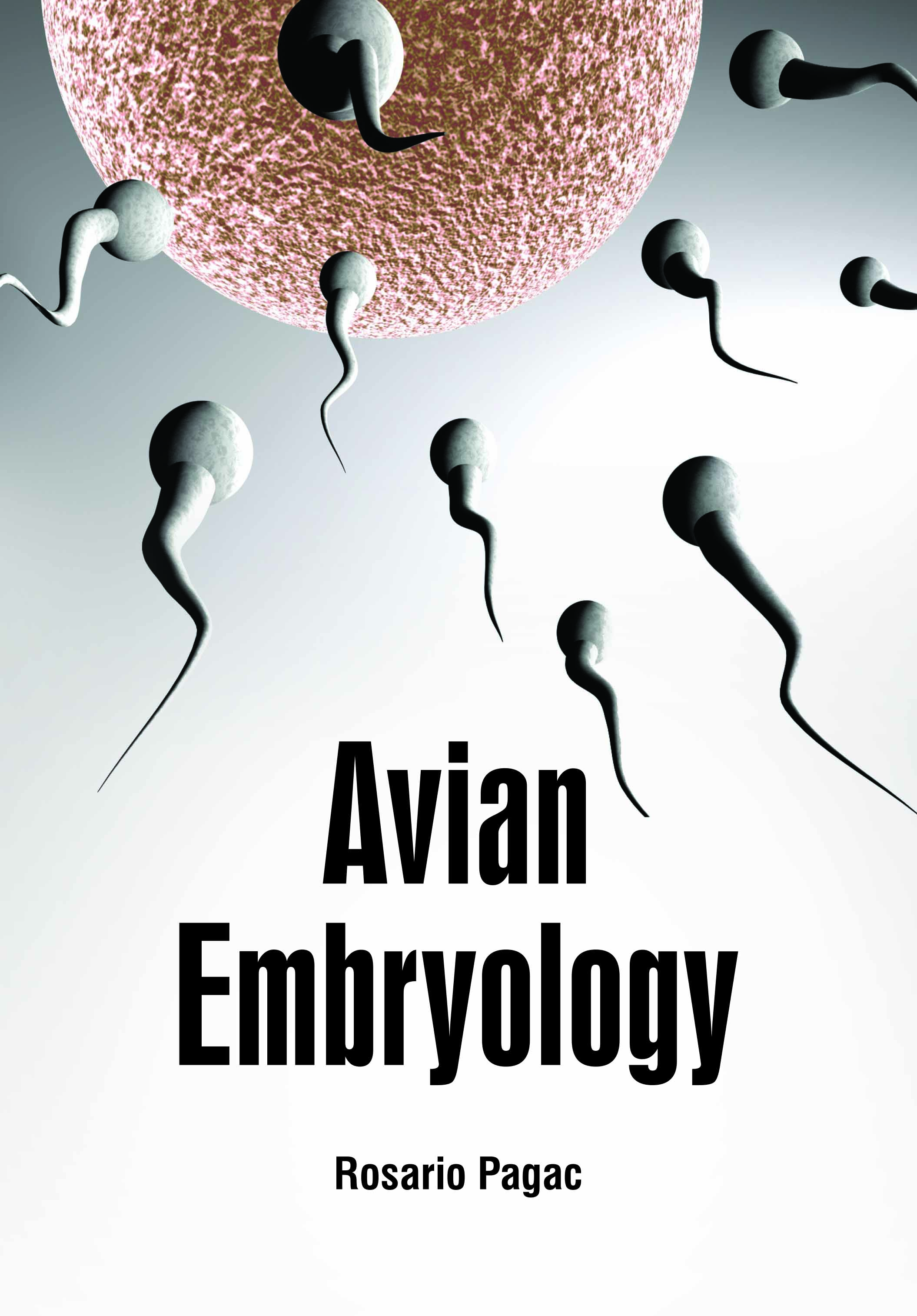 Avian Embryology