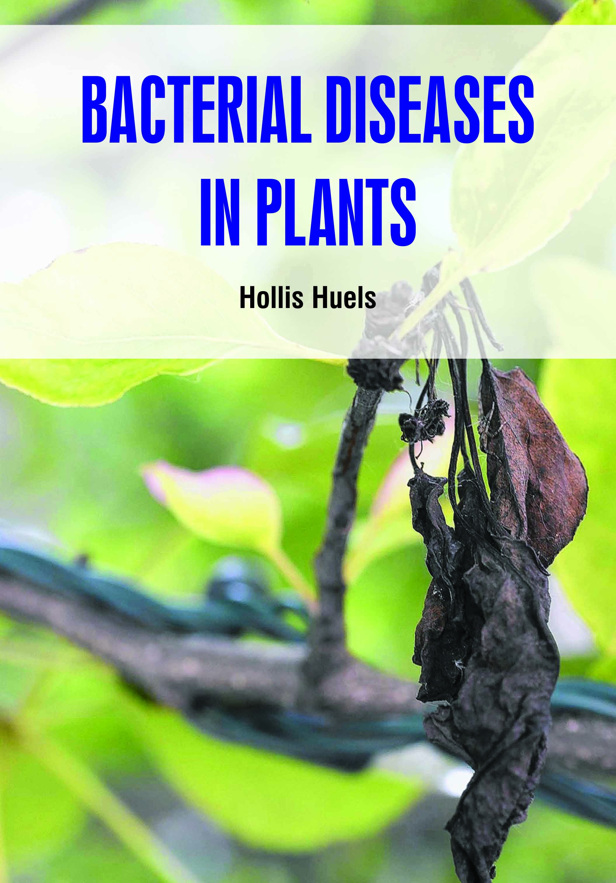 Bacterial Diseases in Plants
