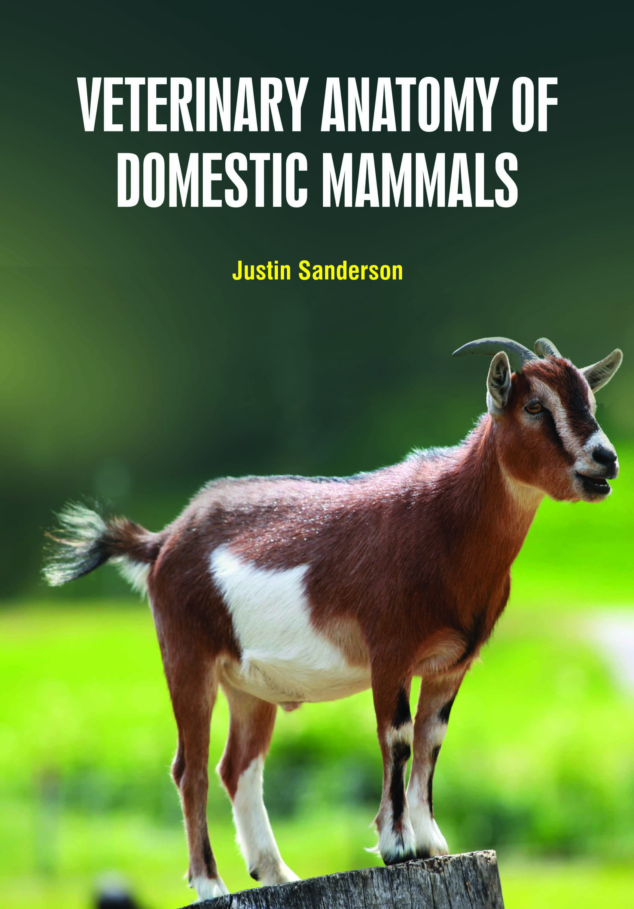 Veterinary Anatomy of Domestic Mammals