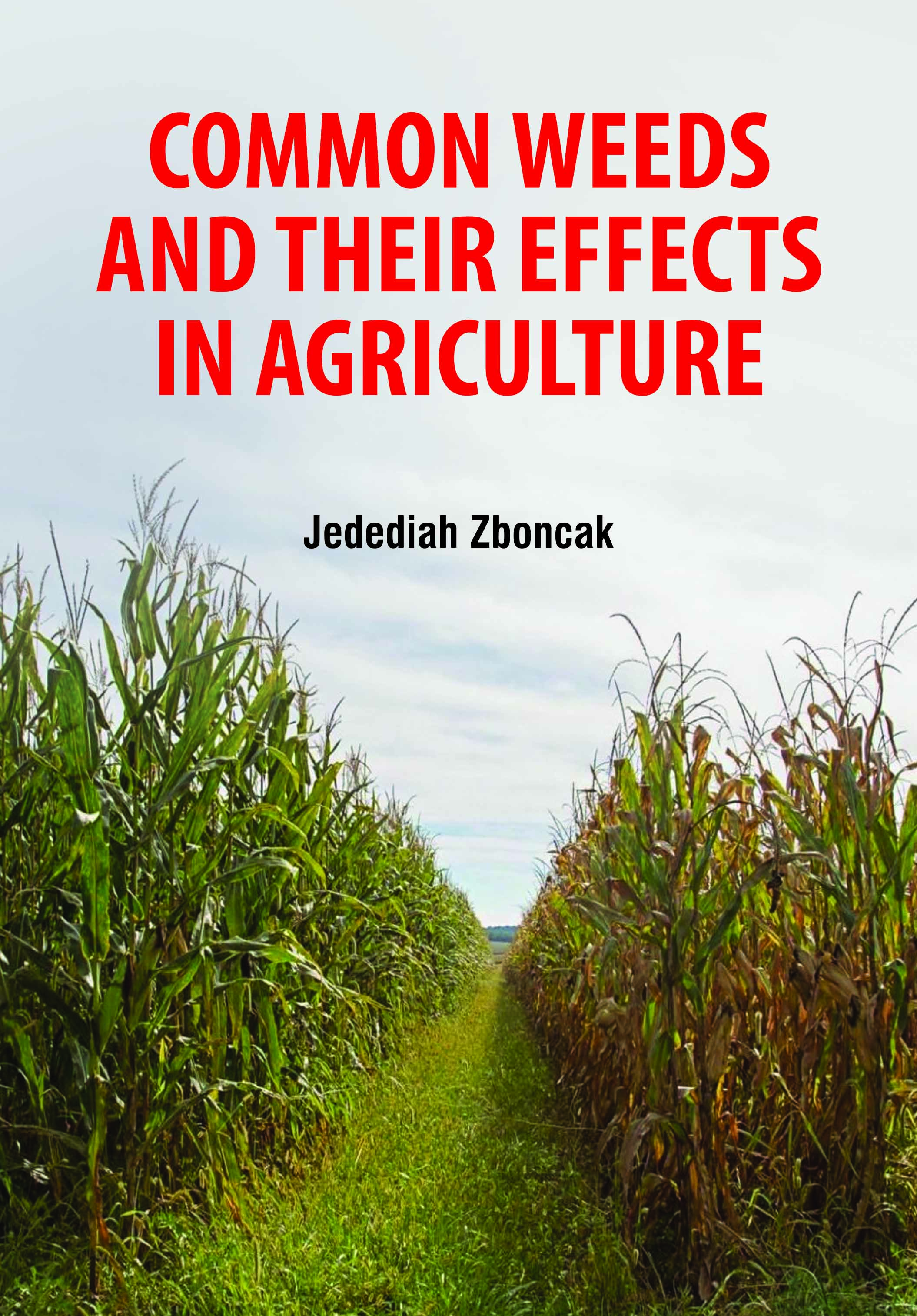 Common Weeds and Their Effects in Agriculture
