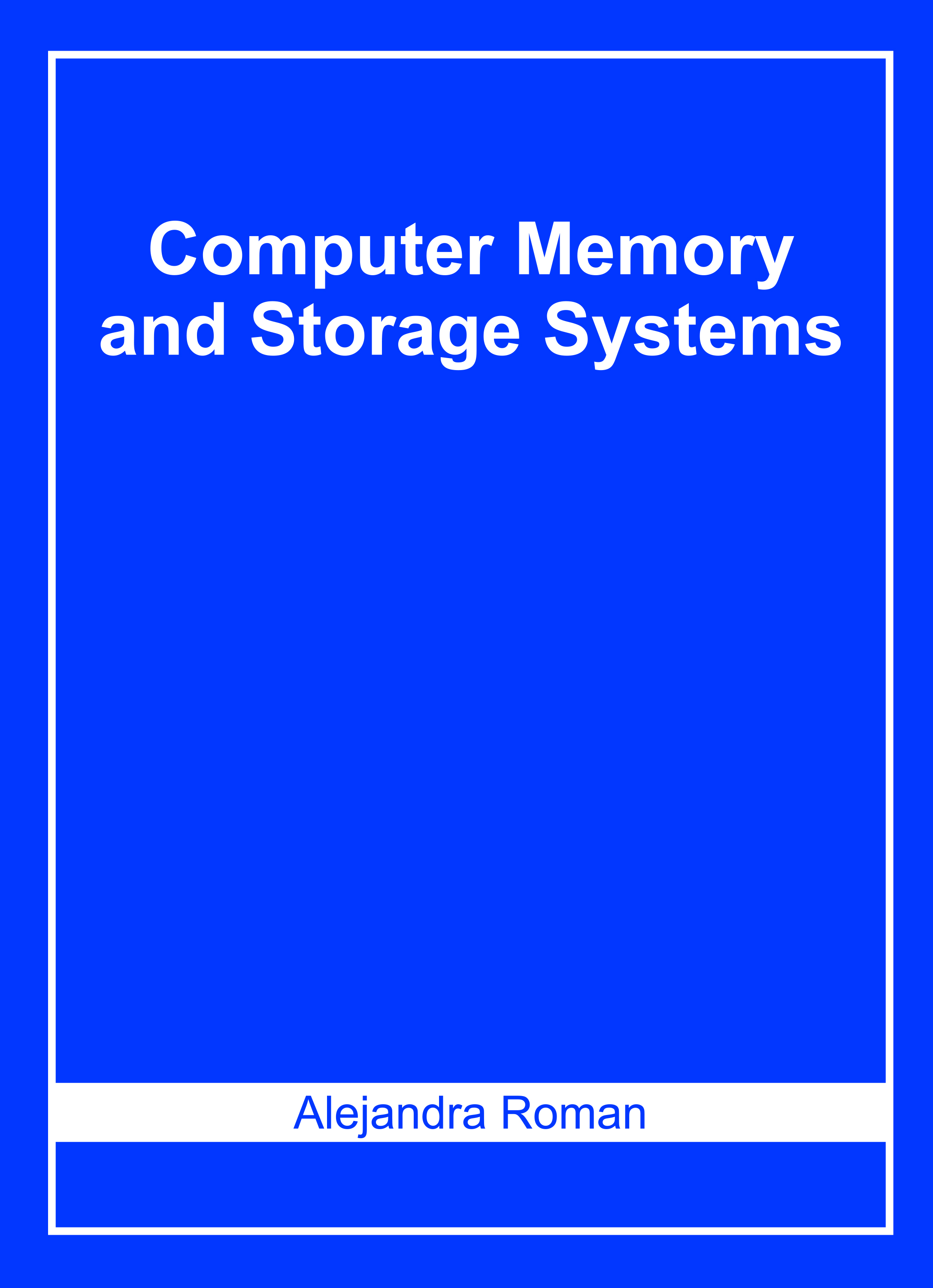 Computer Memory and Storage Systems