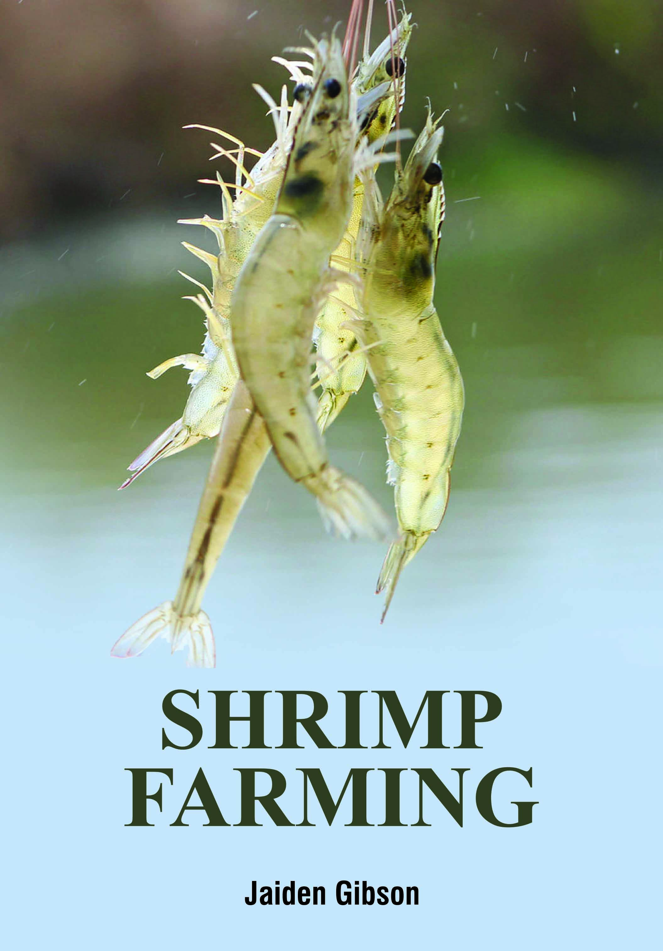 Shrimp Farming