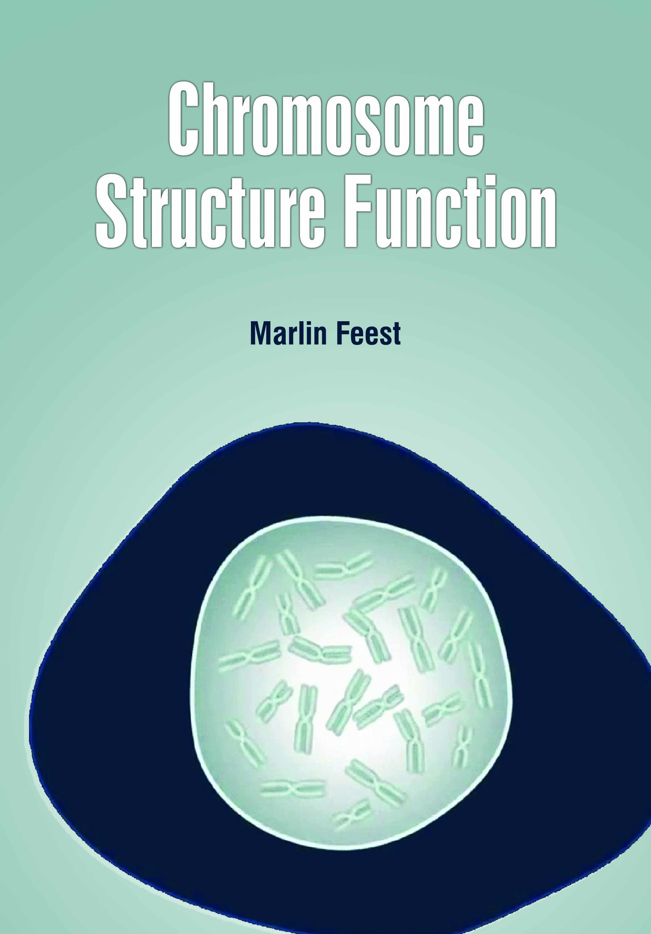 Chromosome Structure Function