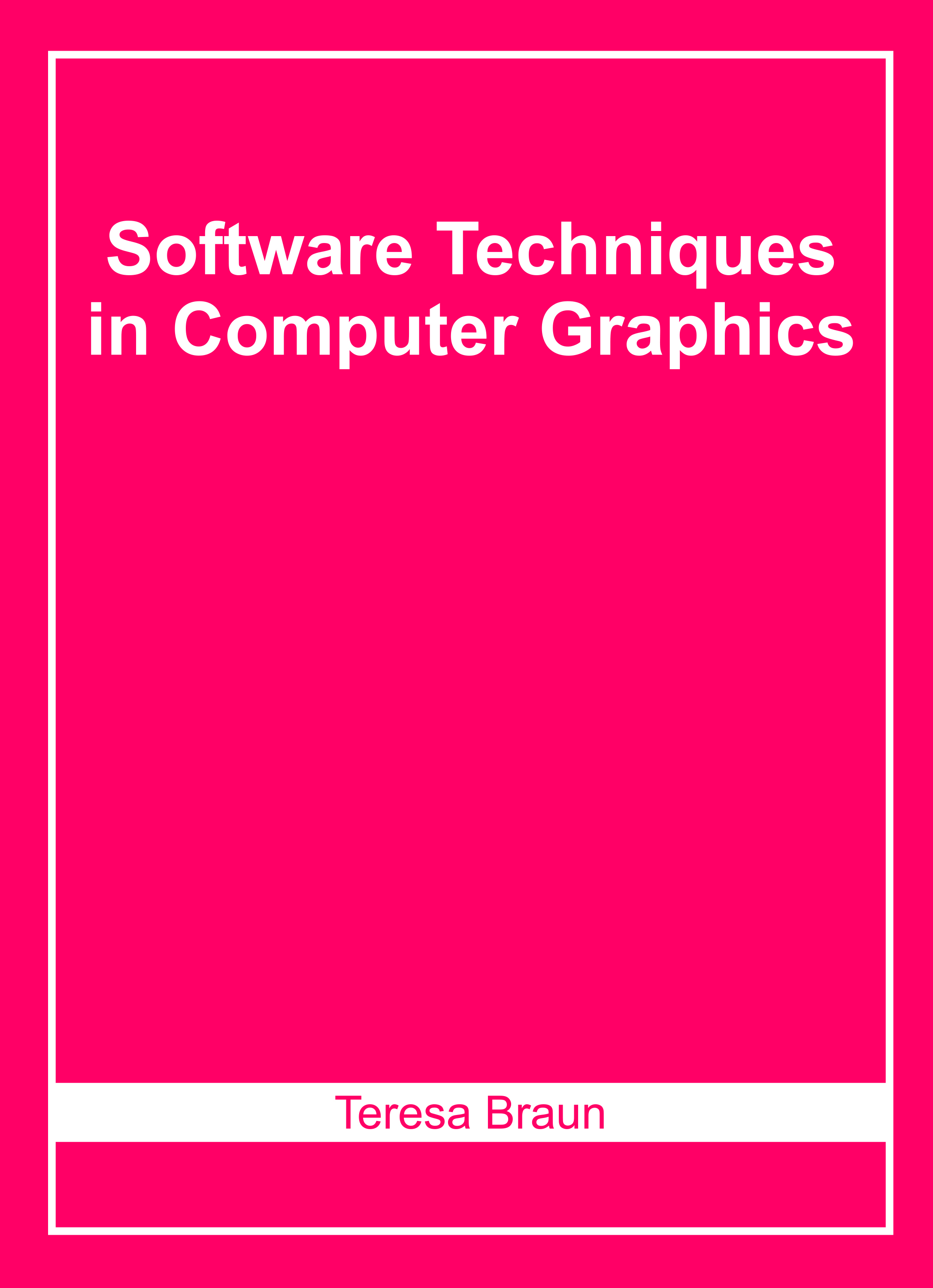 Software Techniques in Computer Graphics