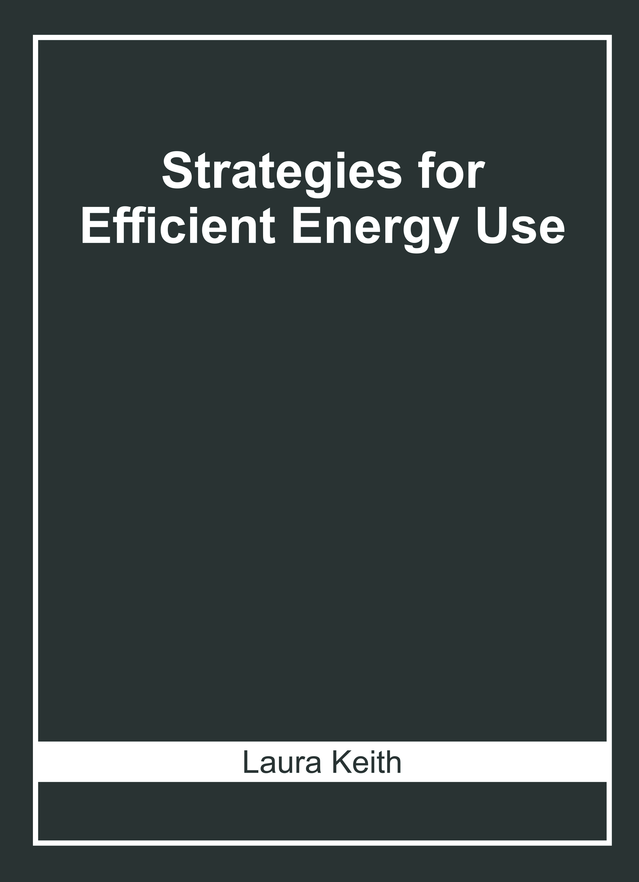 Strategies for Efficient Energy Use