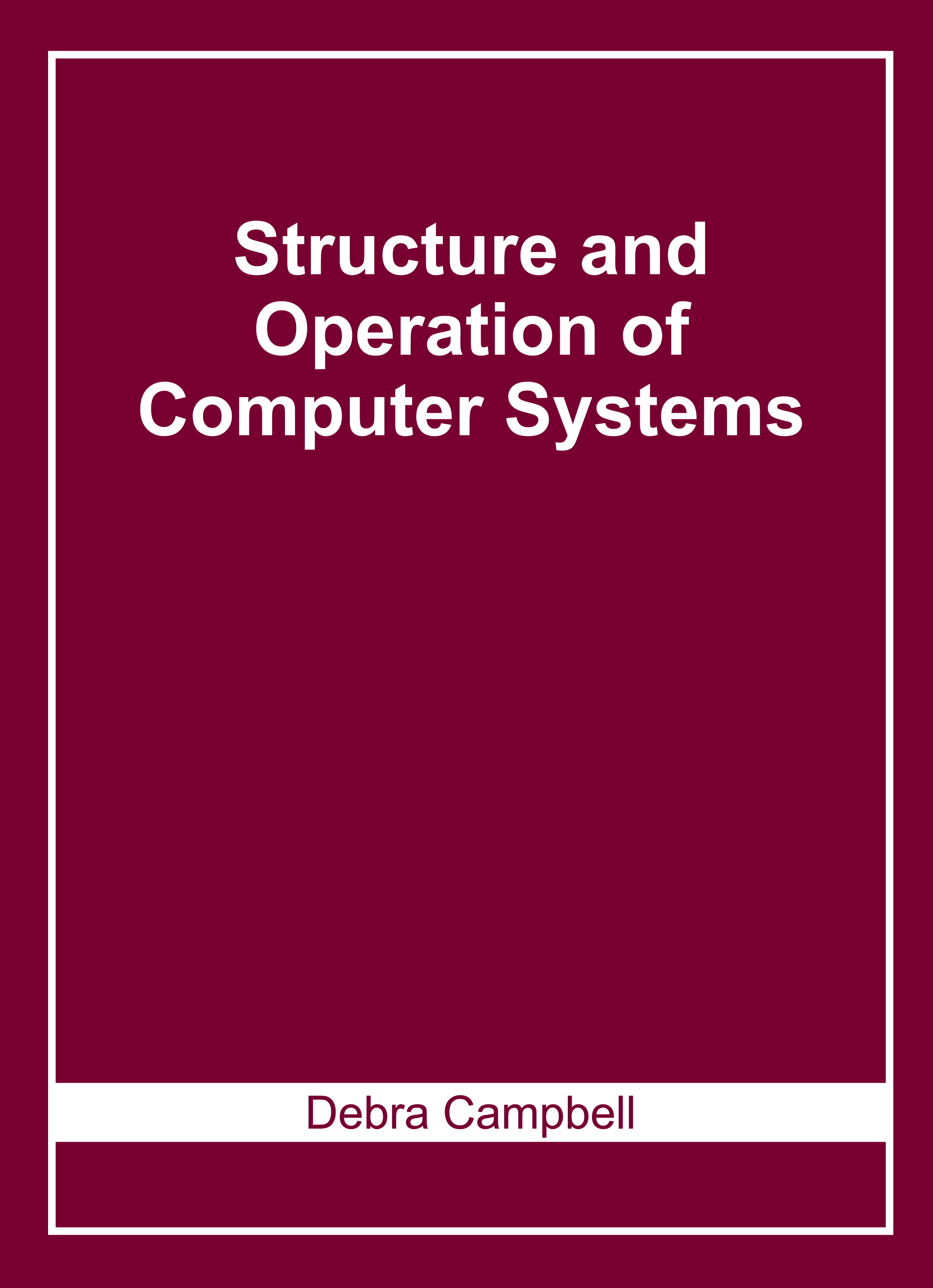 Structure and Operation of Computer Systems
